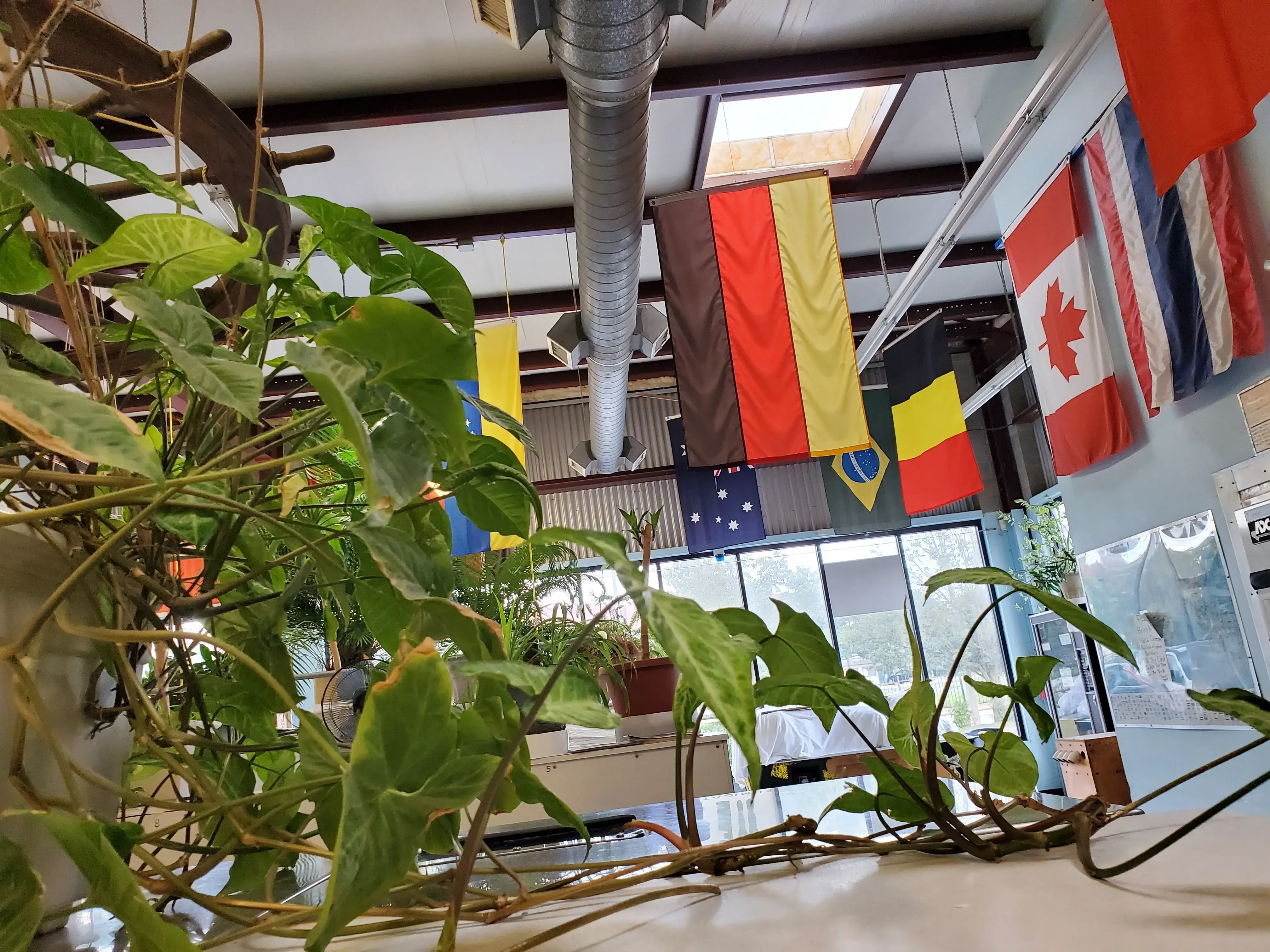 Ellie’s Laundry - Image 16