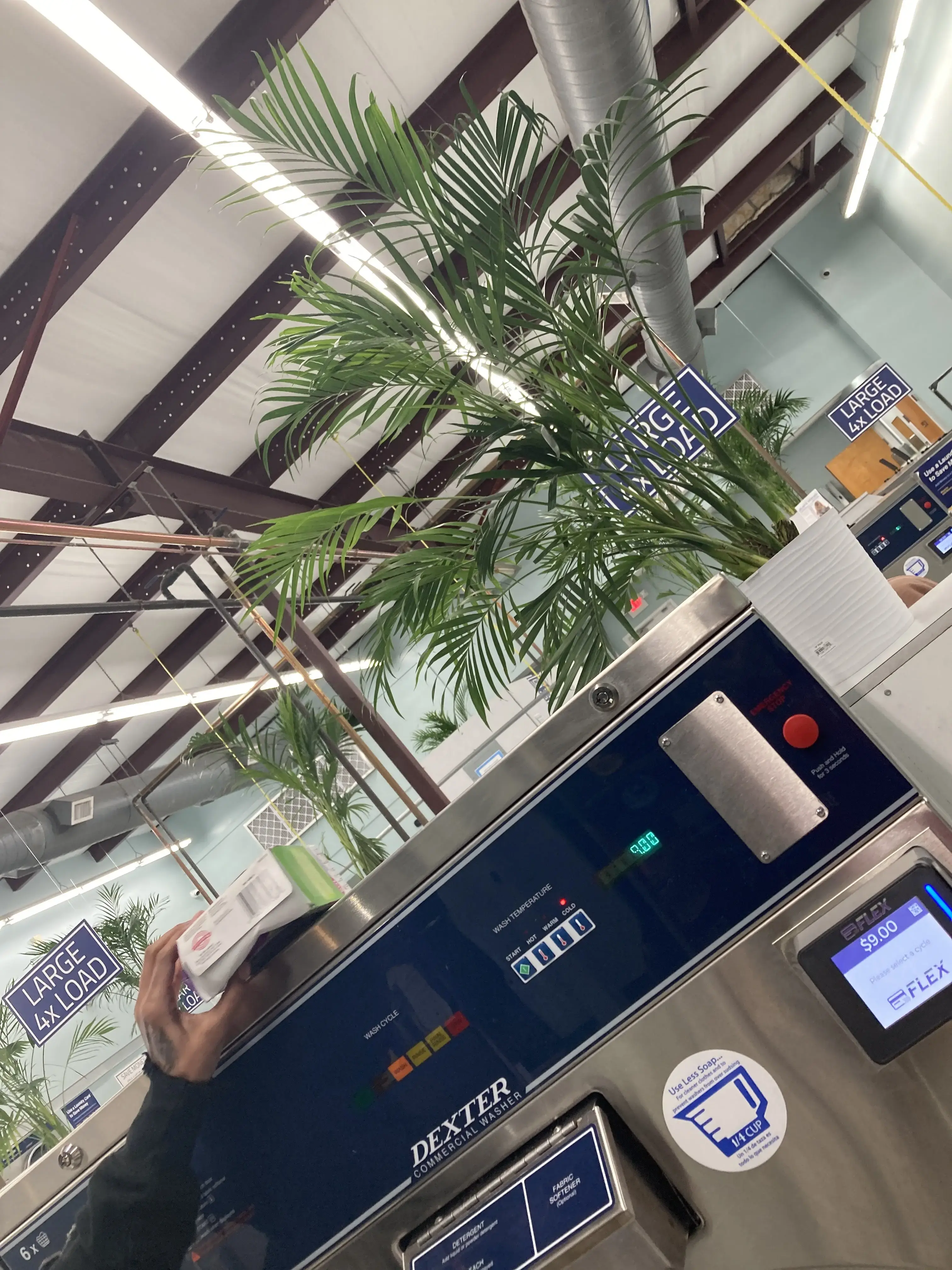 Ellie’s Laundry - Image 20