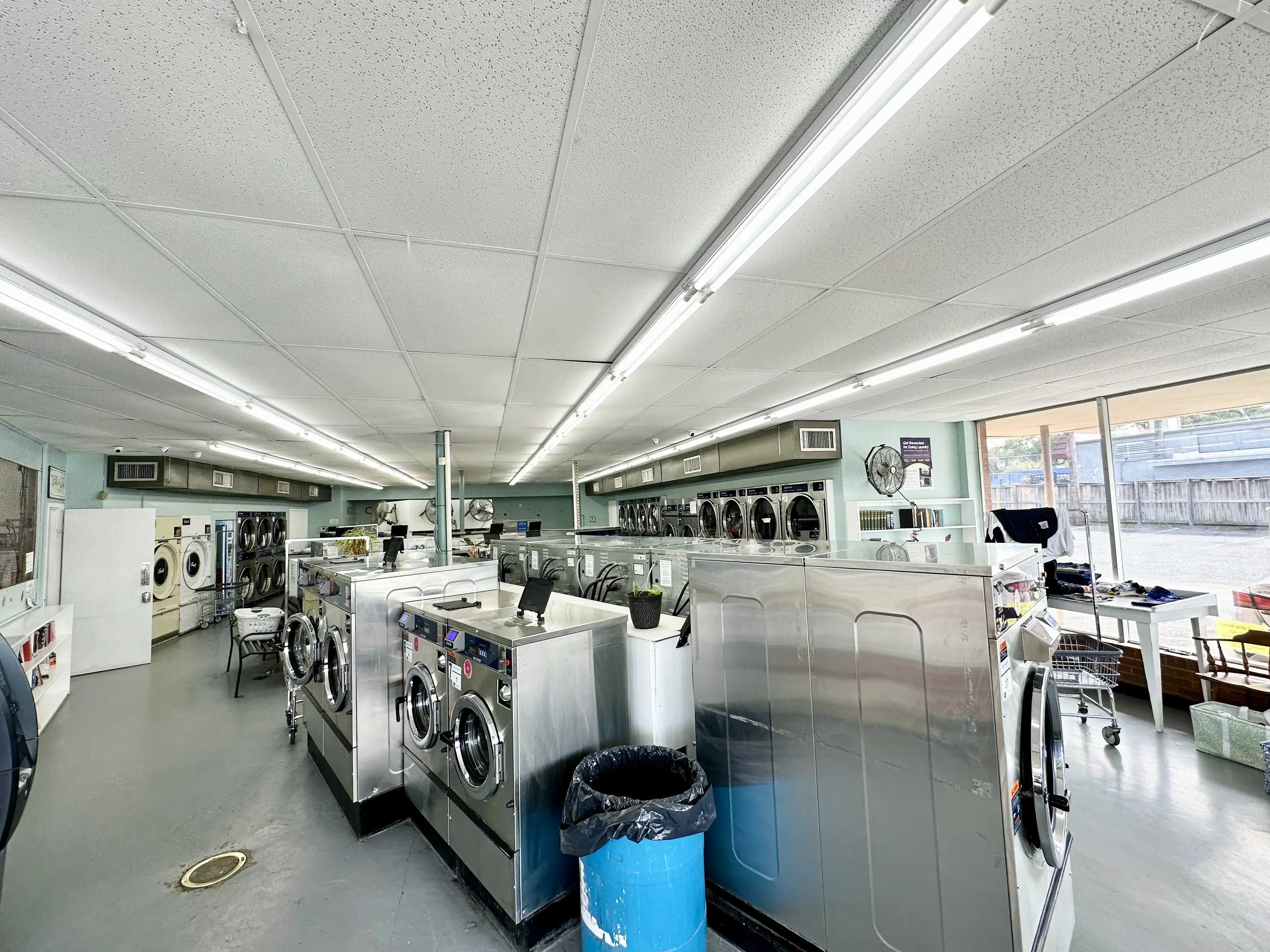 Ellie's Laundry thumbnail 10