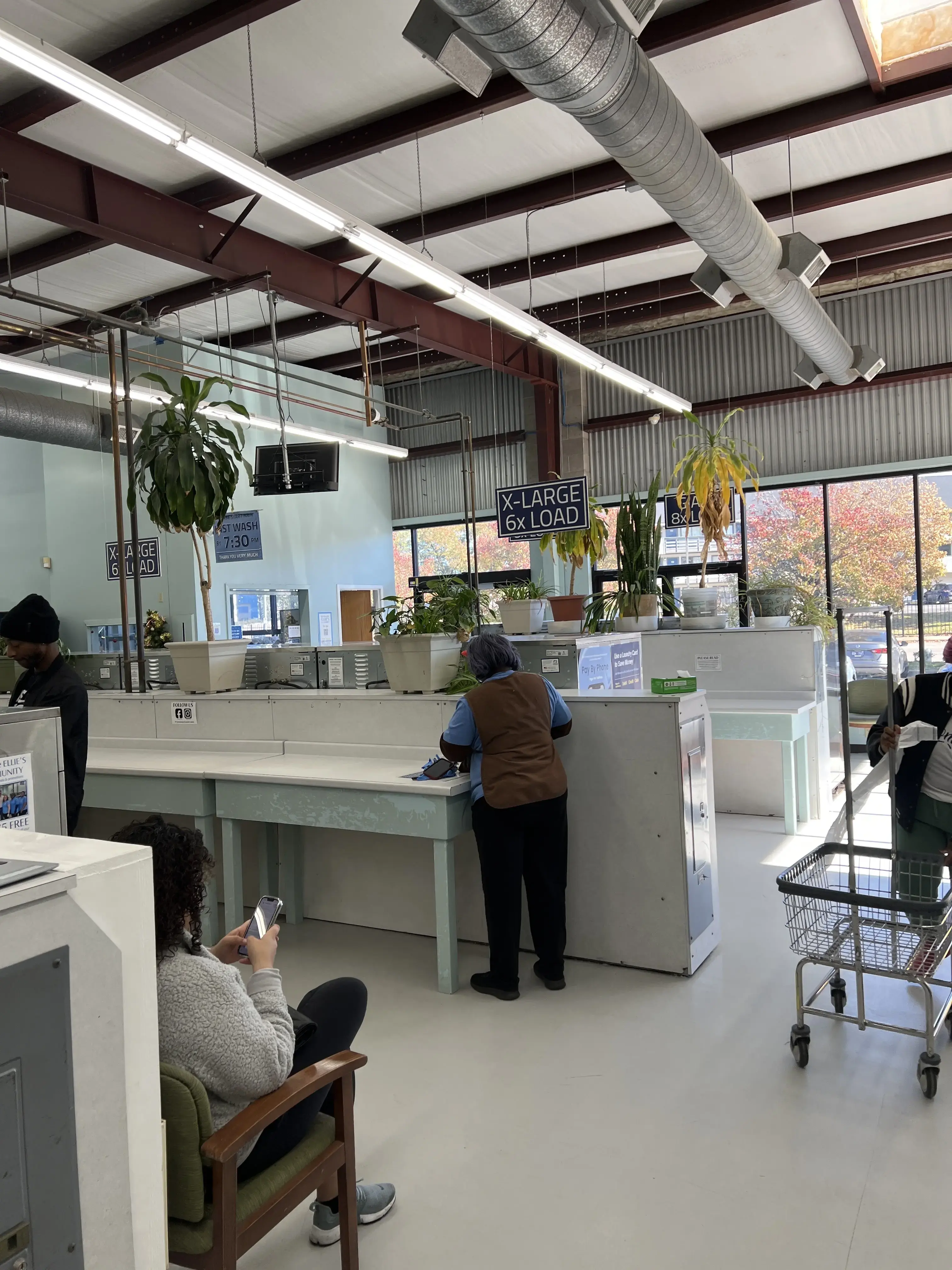 Ellie’s Laundry - Image 17