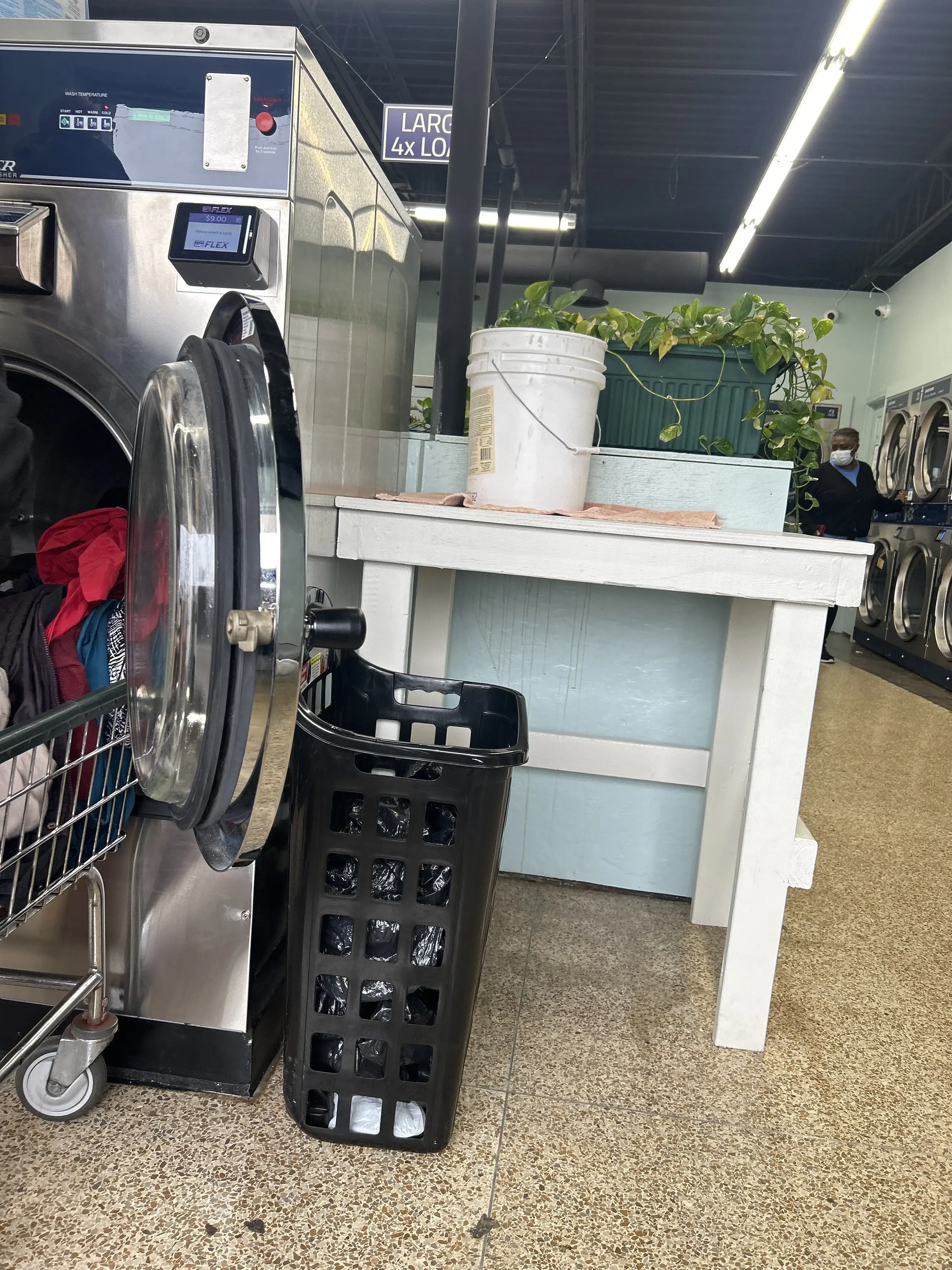 Ellie’s Laundry - Image 10