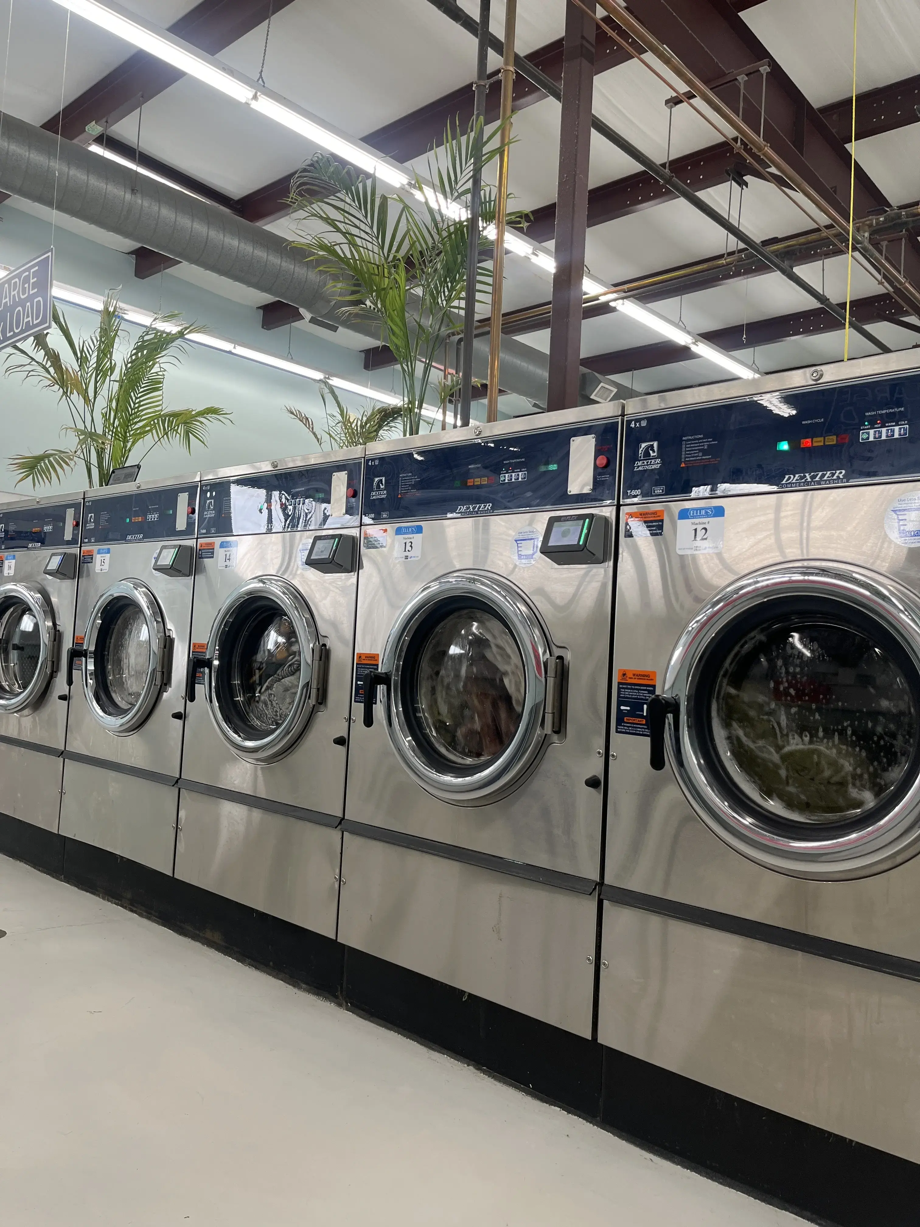 Ellie’s Laundry thumbnail 2