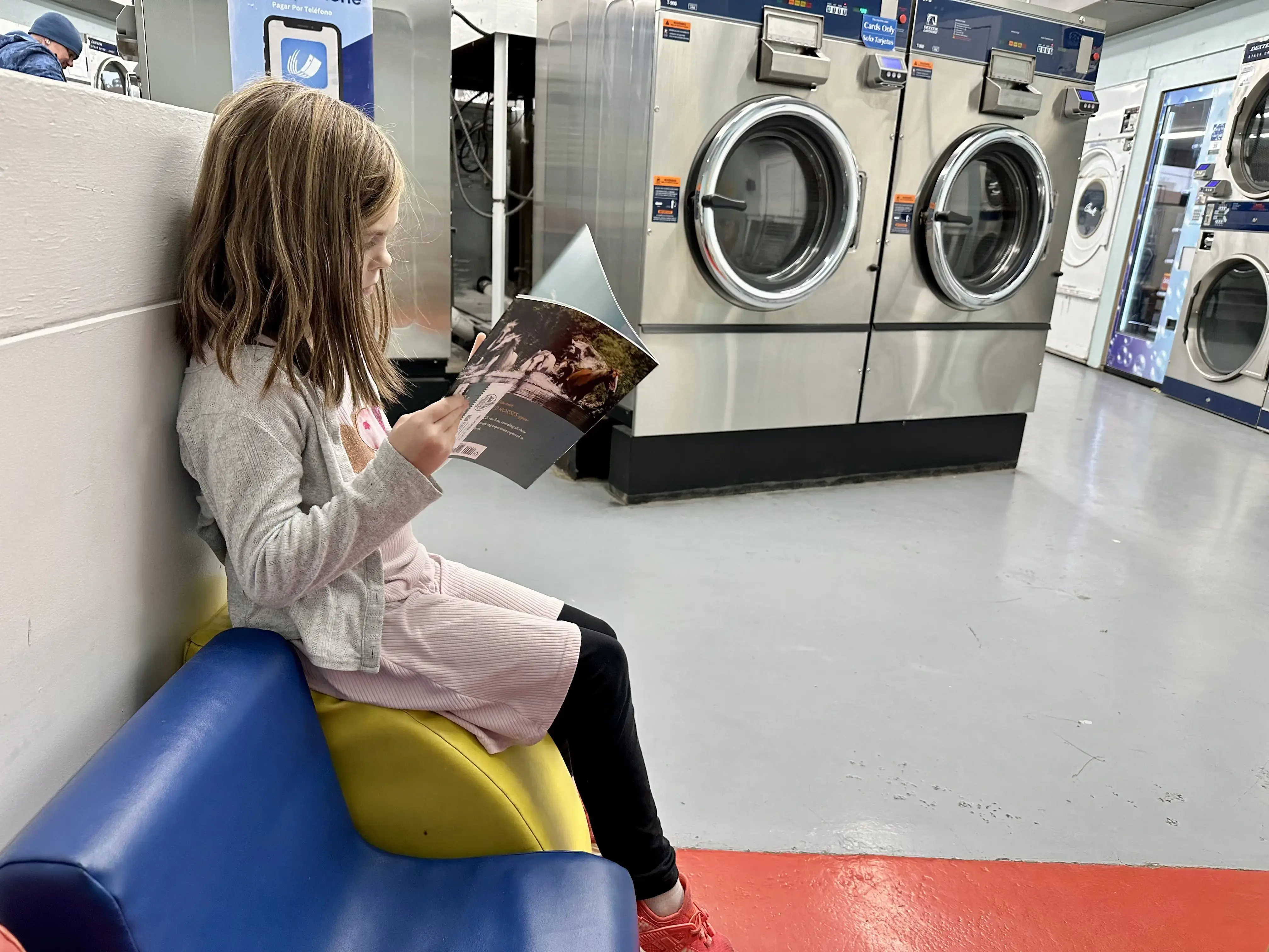 Ellie's Laundry thumbnail 5