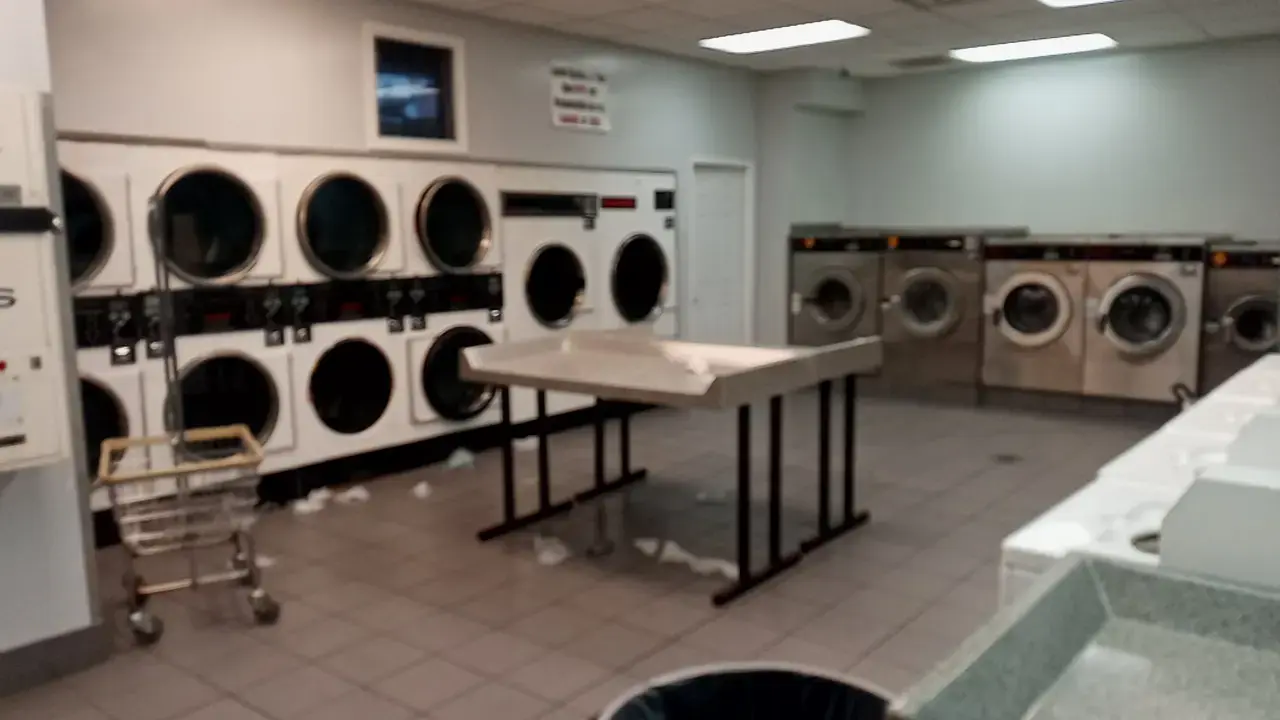 Ellie's Laundry thumbnail 19