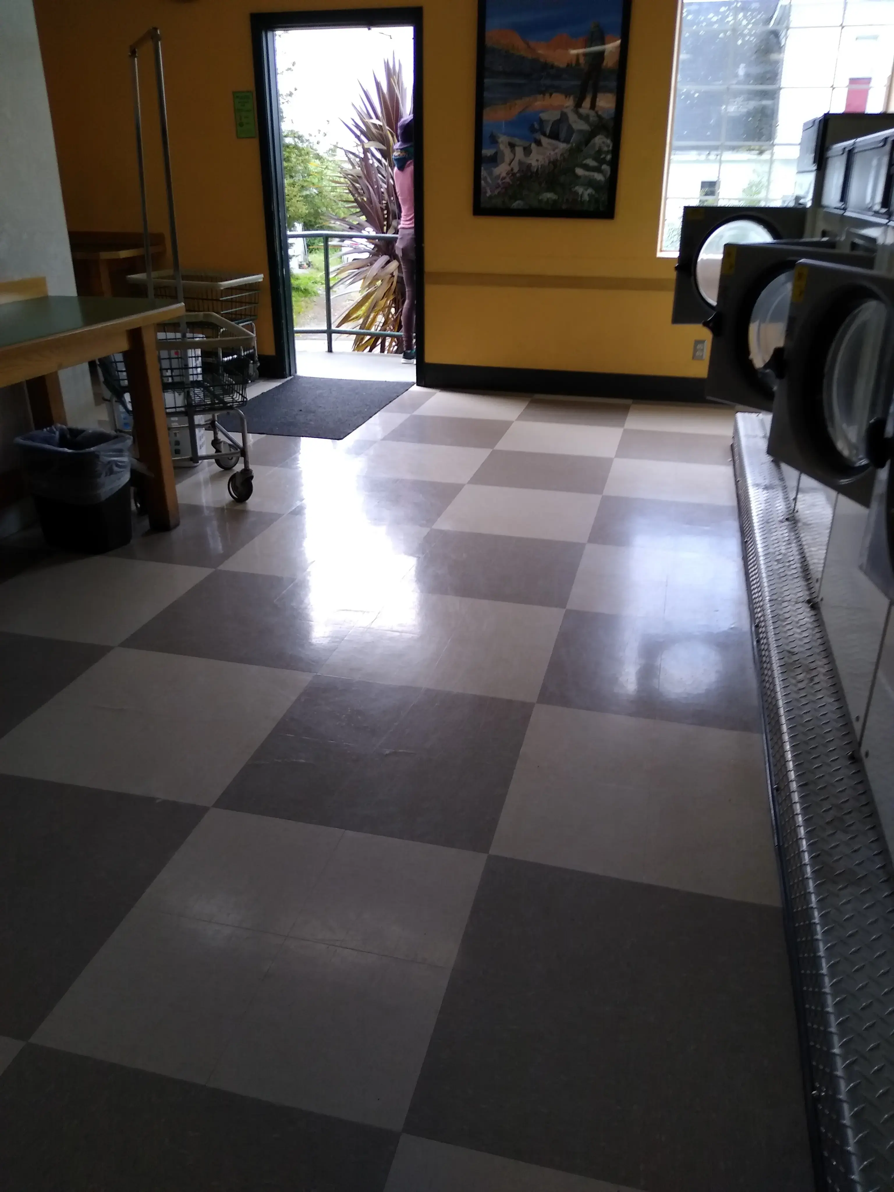 Emerald City Laundry Co thumbnail 12