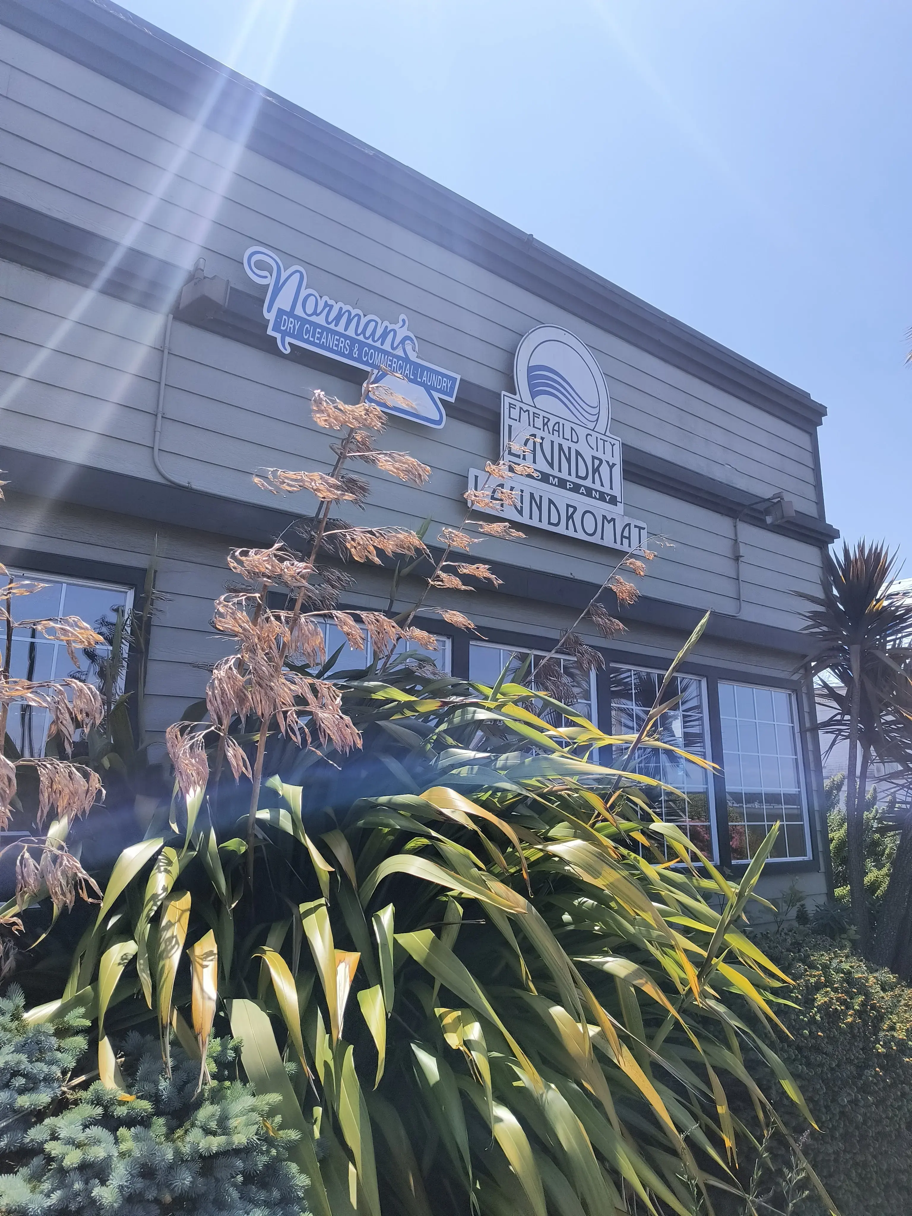 Emerald City Laundry Co thumbnail 2