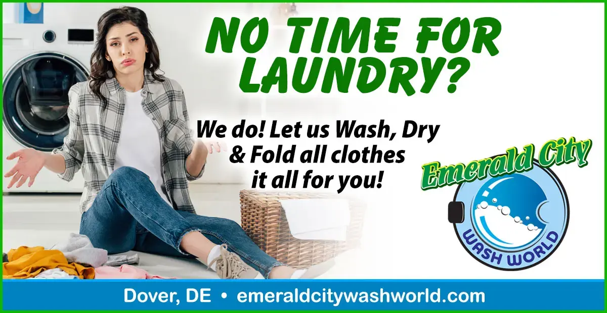 Emerald City Wash World thumbnail 12