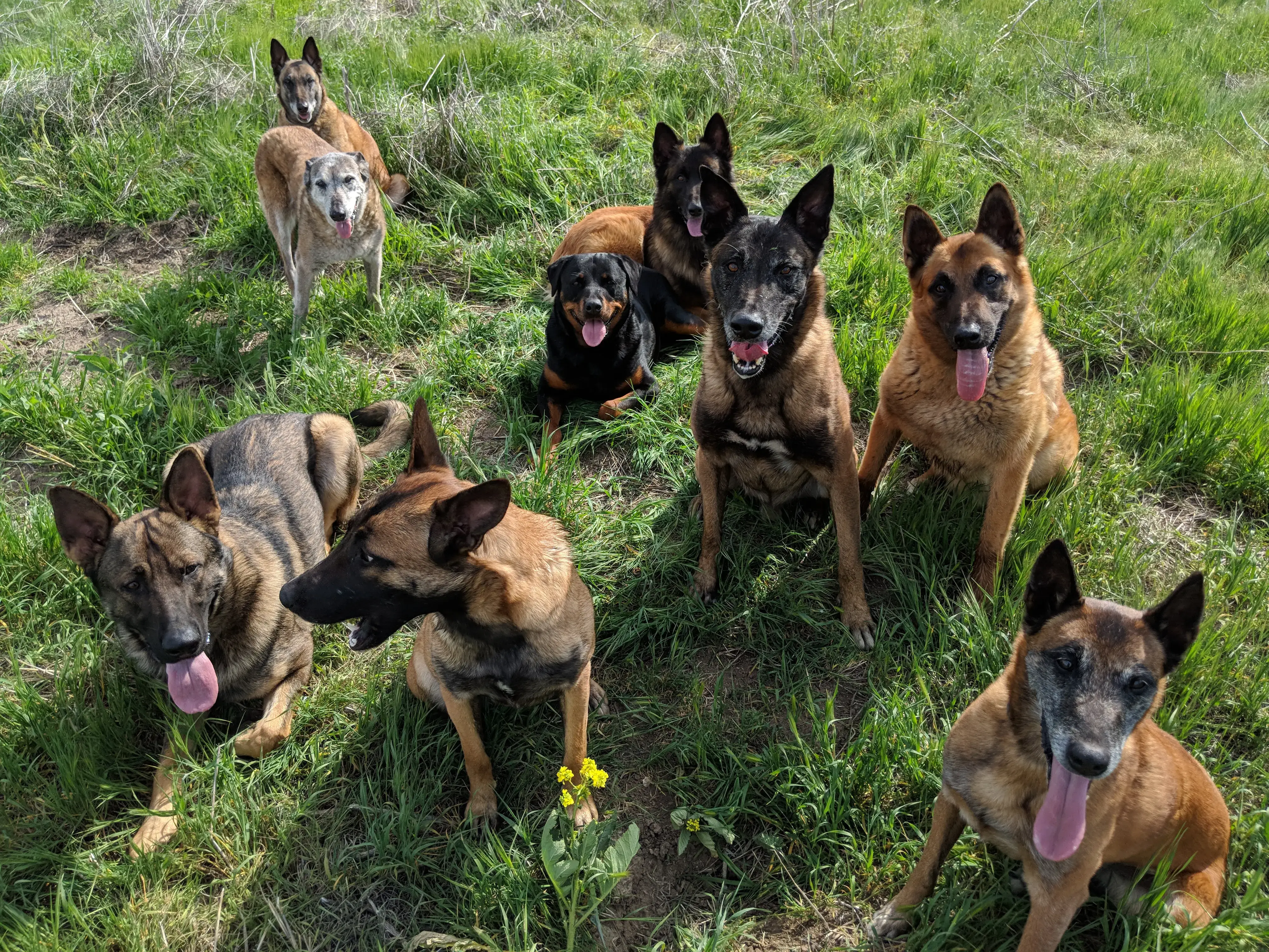 Emerald Textiles thumbnail 4