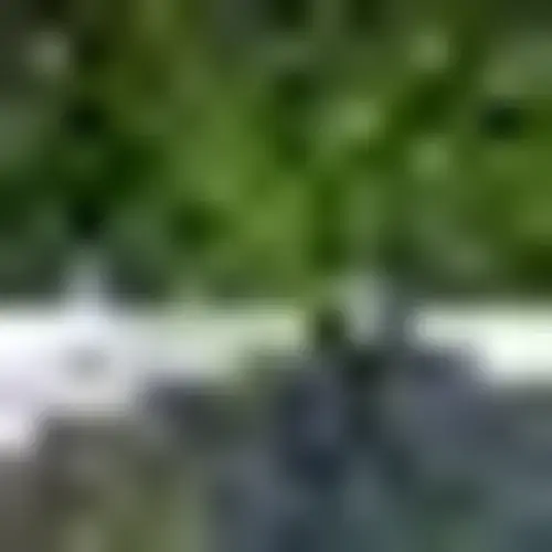 Empty Hamper thumbnail 7