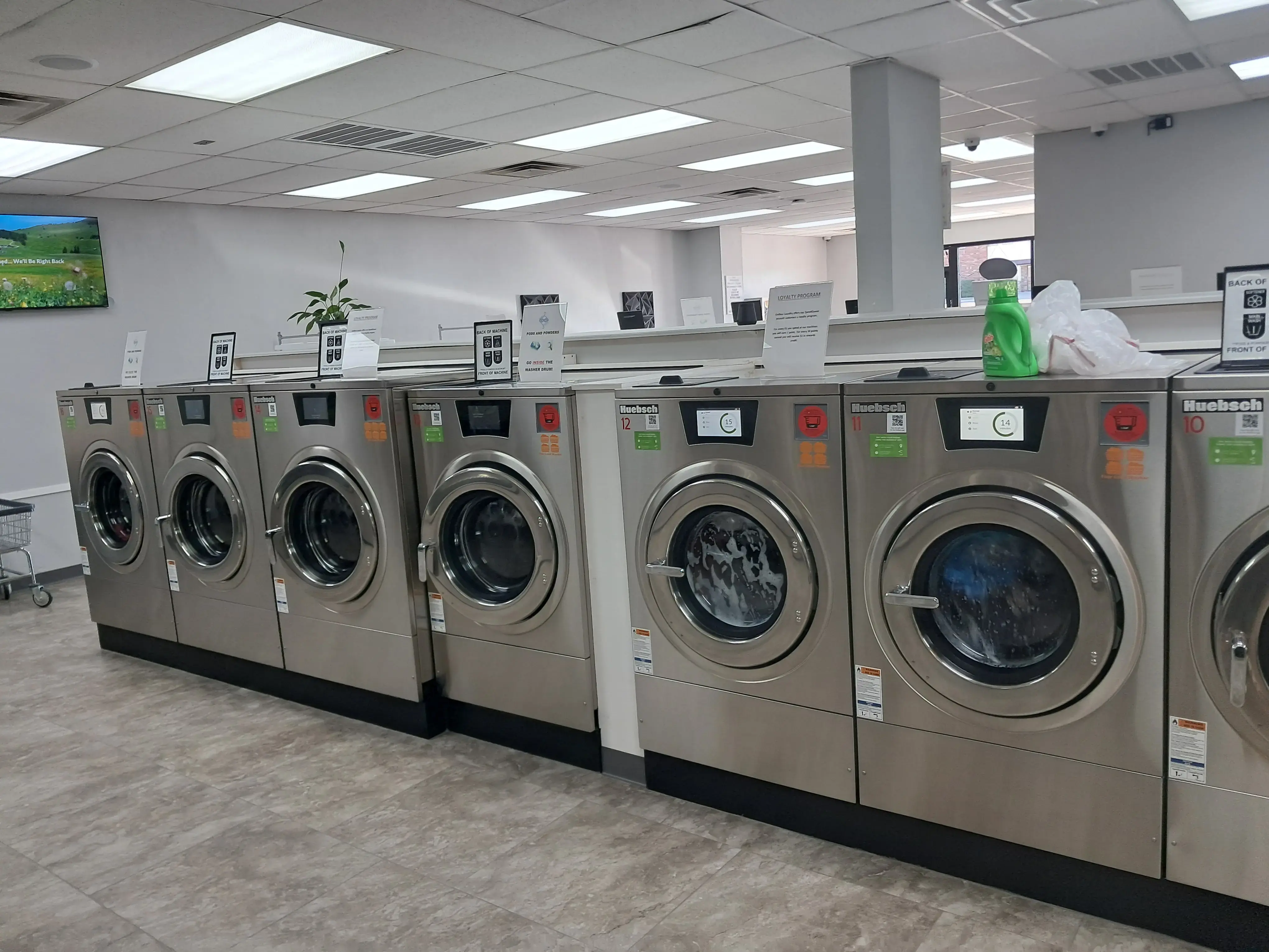 Endless Laundry - Image 19