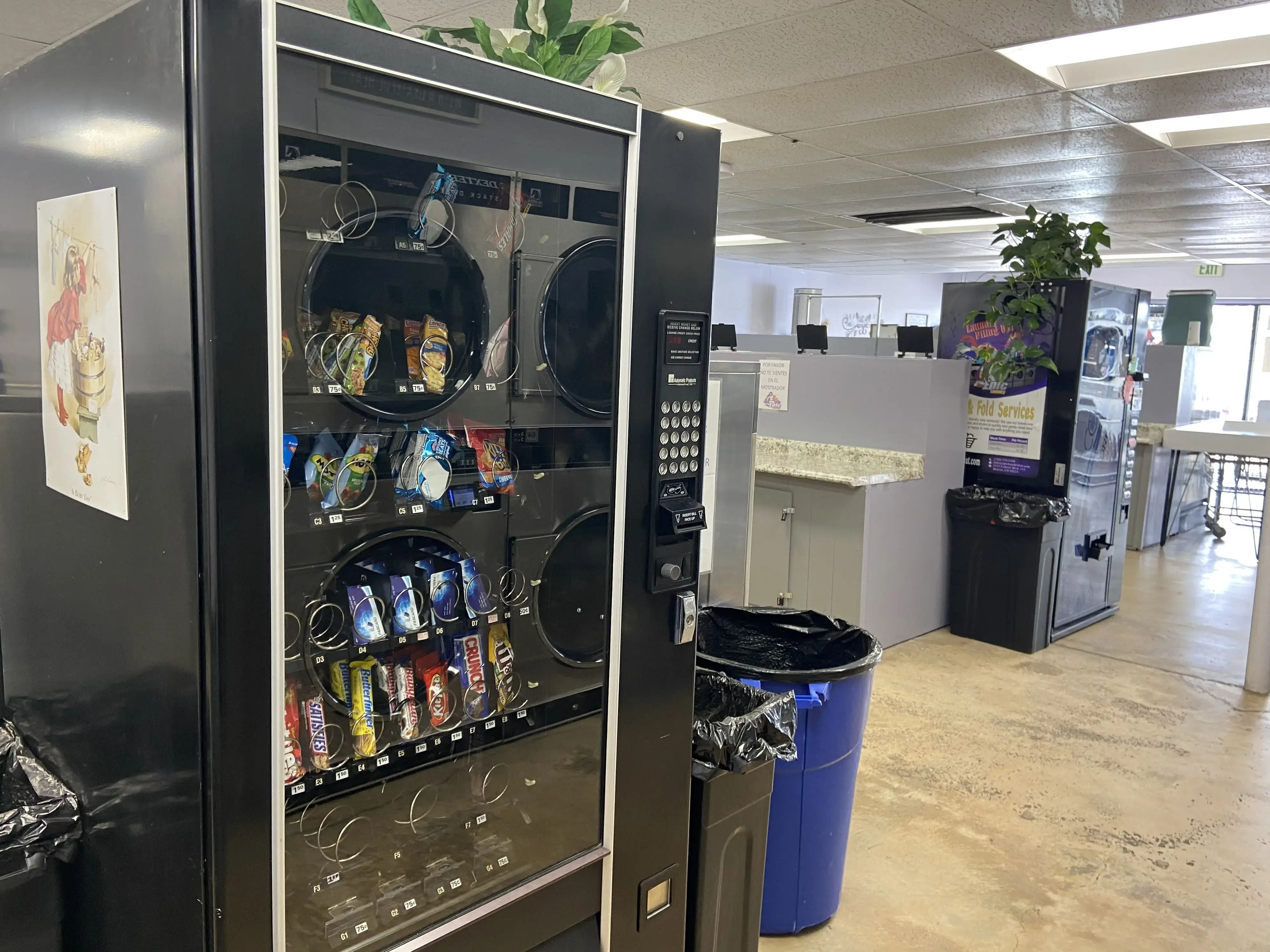 Epic Laundromat thumbnail 15