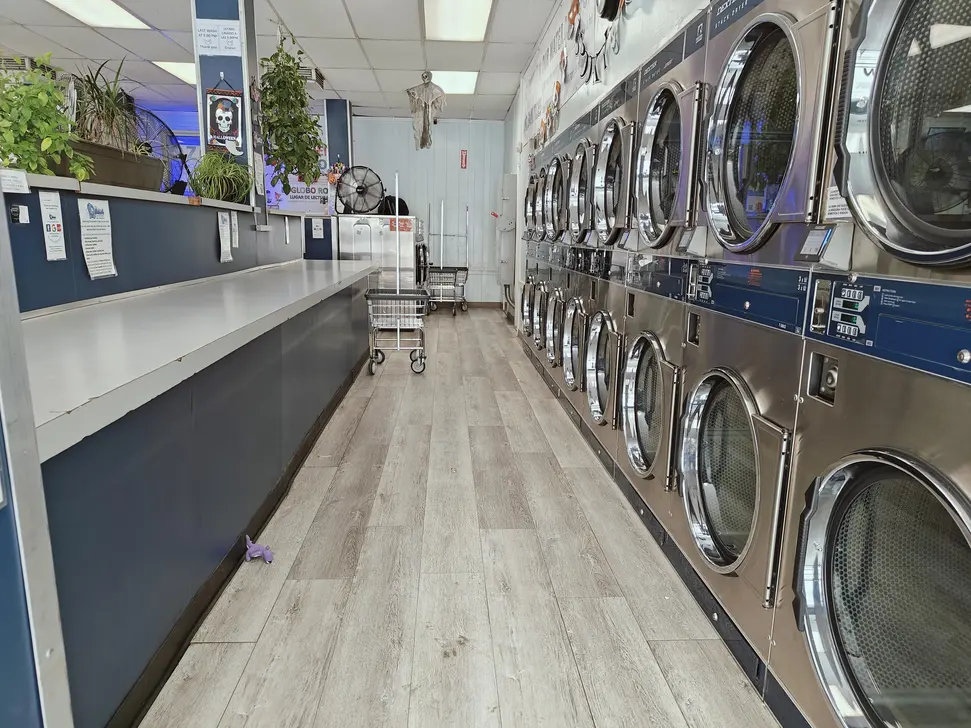 Erica's Laundry & Wash and Fold - Image 1