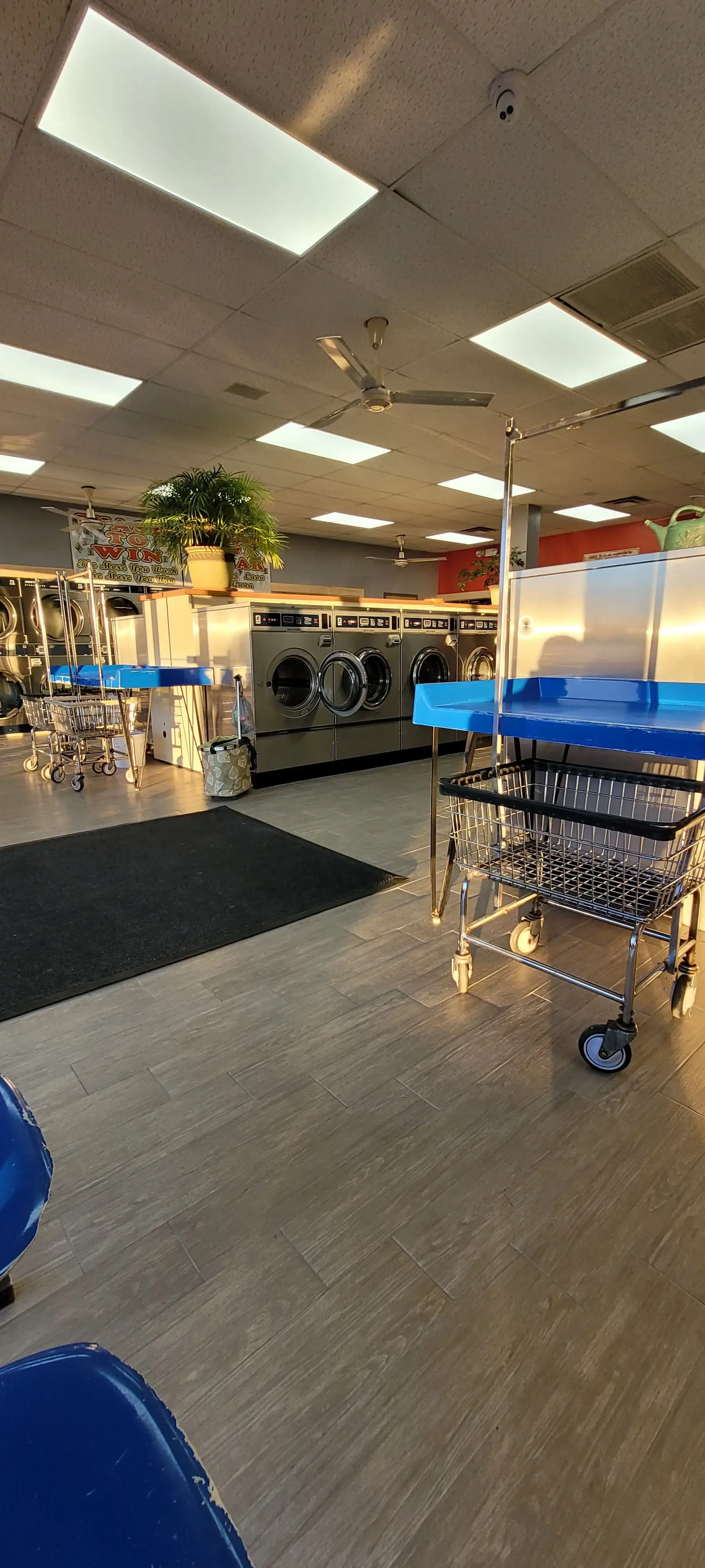 Essex Laundromat thumbnail 5