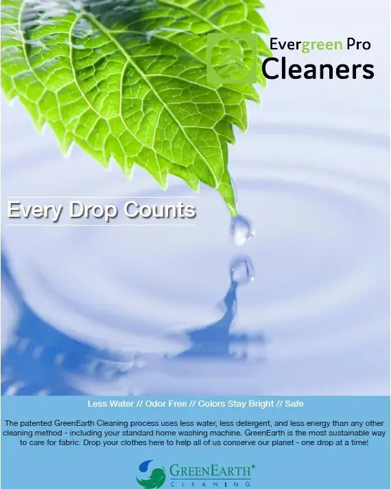Evergreen Pro Cleaners thumbnail 12
