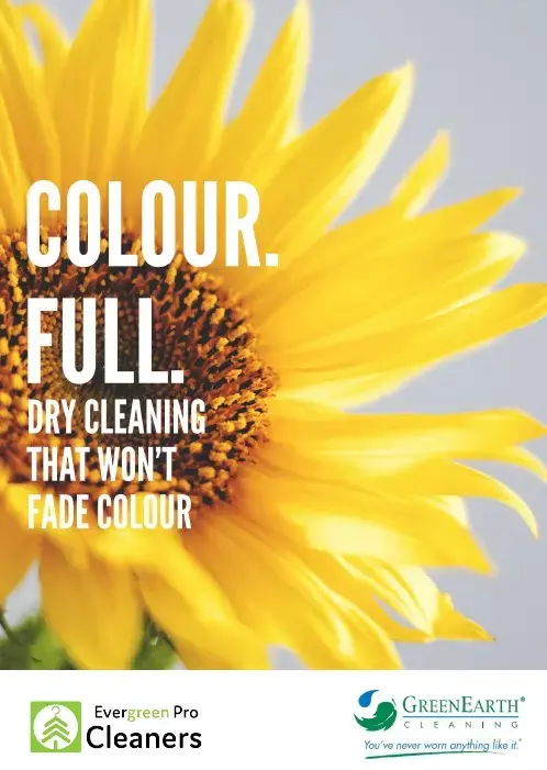 Evergreen Pro Cleaners thumbnail 13