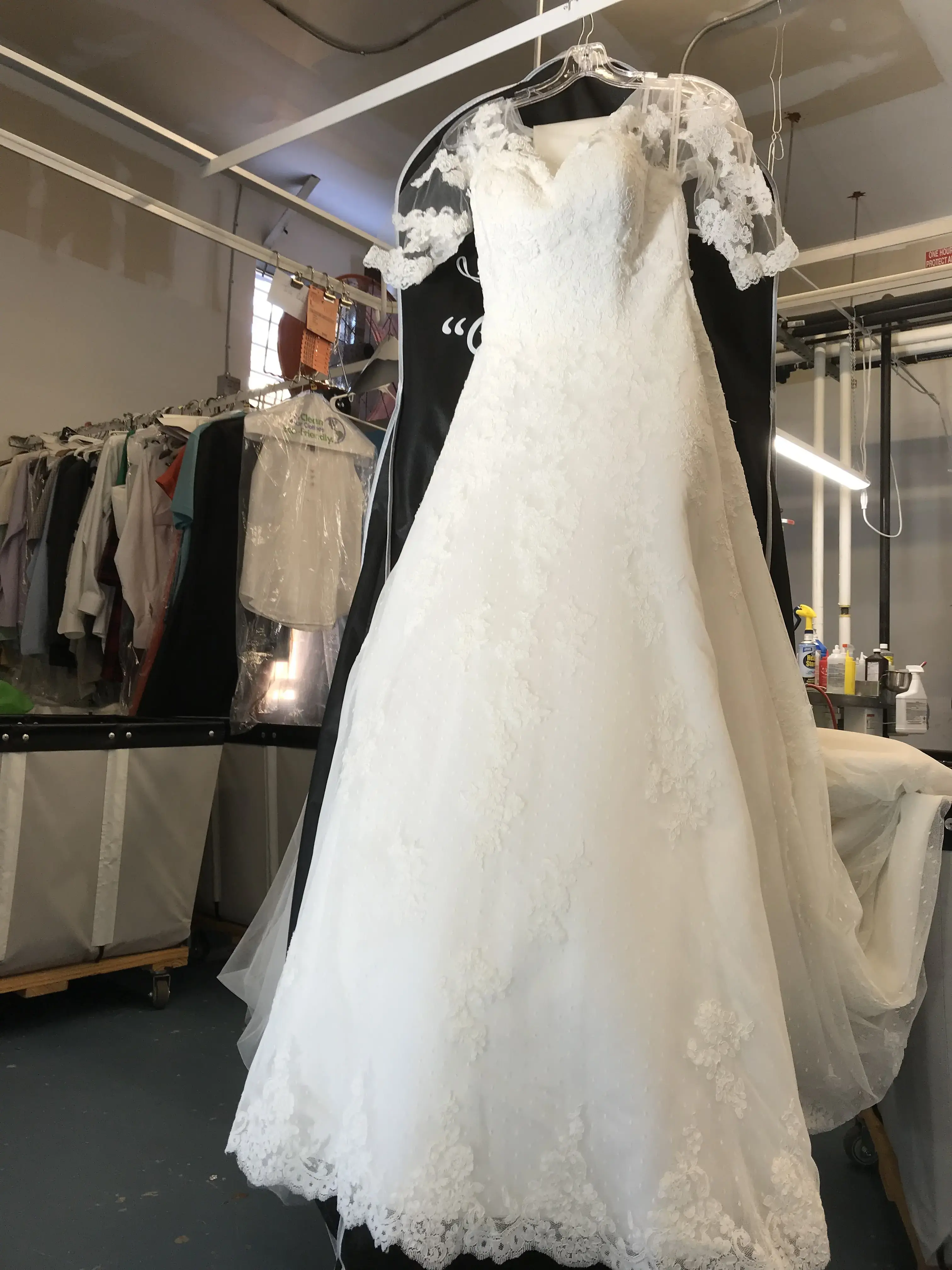 Evergreen Pro Cleaners - Image 11