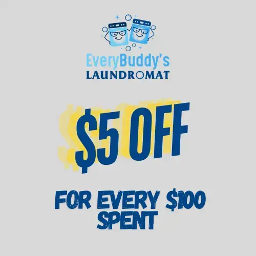Everybuddy’s Laundromat Pickup and Delivery thumbnail 19