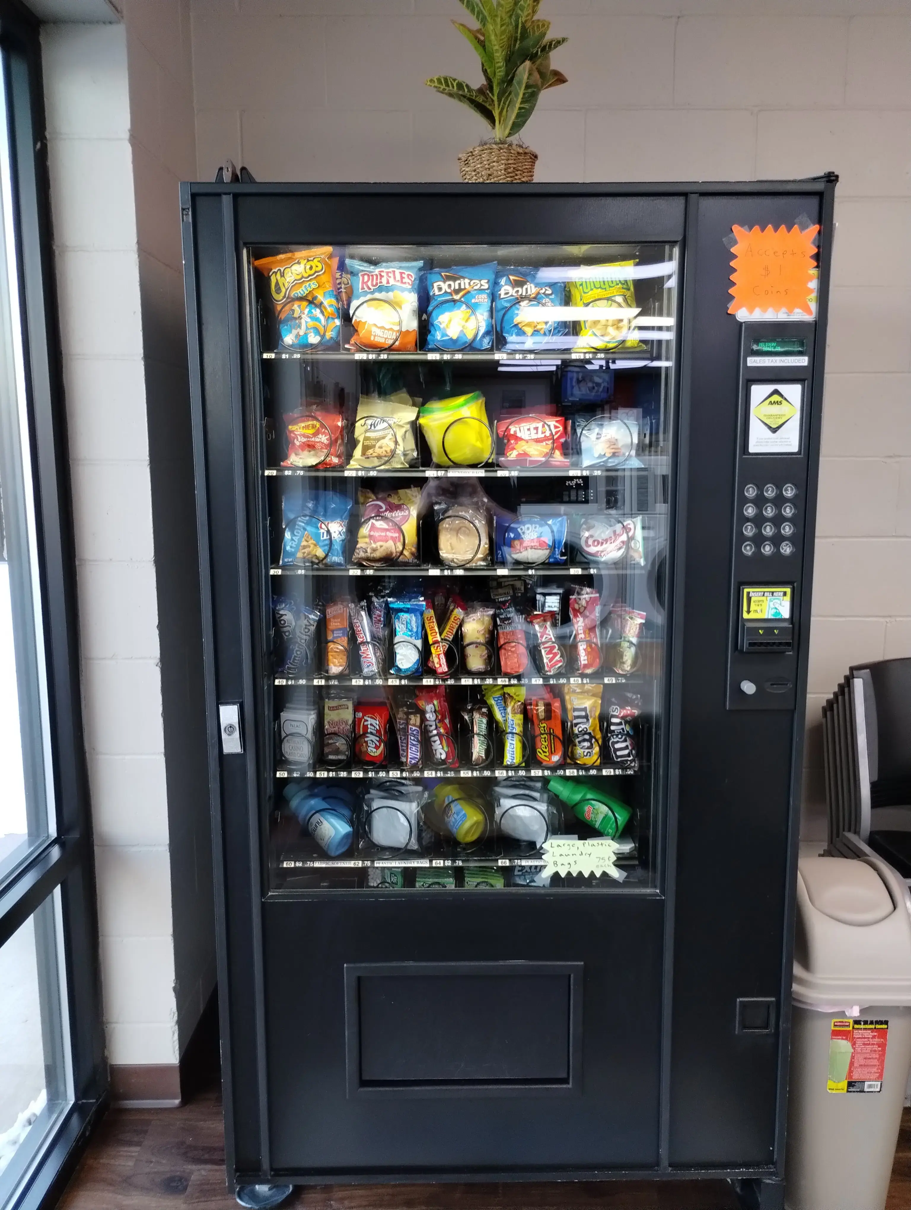 Excalibur Laundromat thumbnail 19