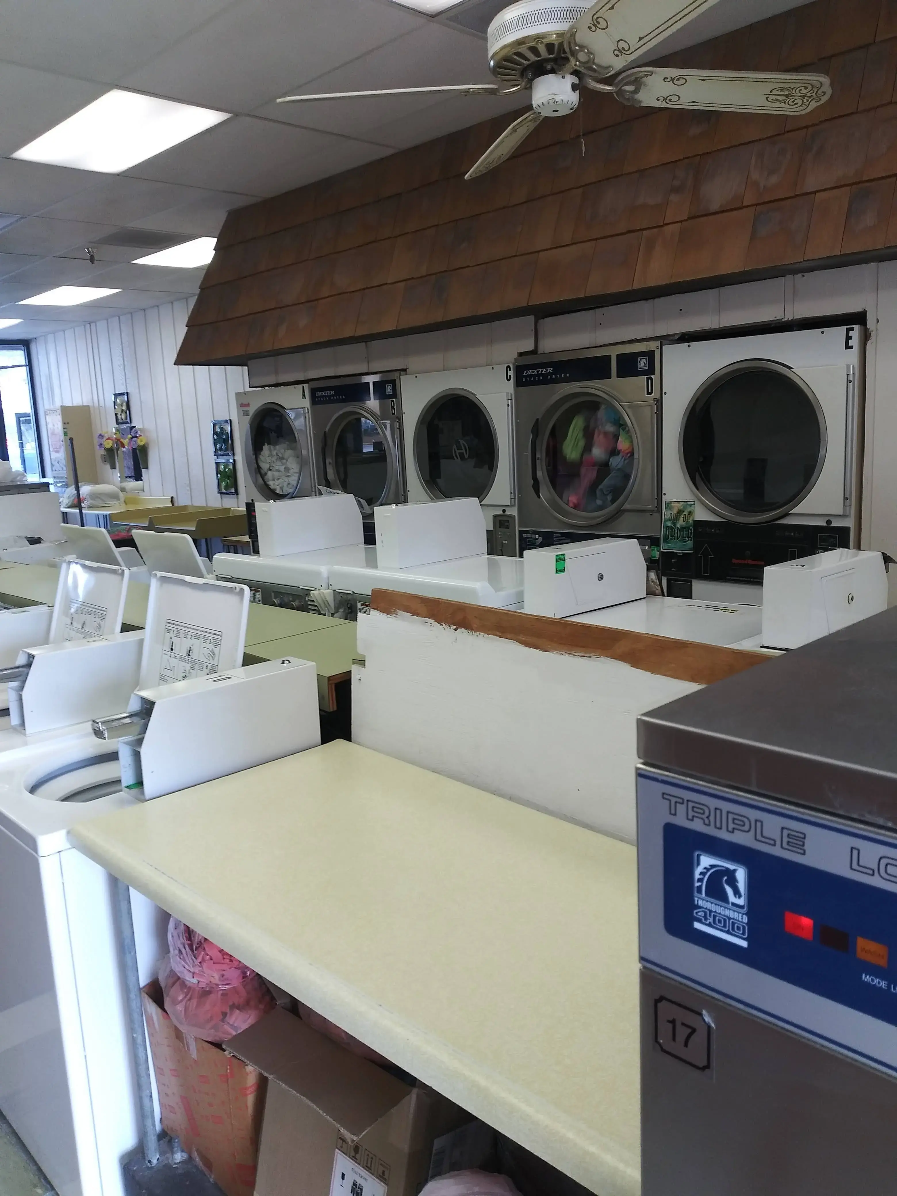 Executive Cleaners-Launderers - Image 6