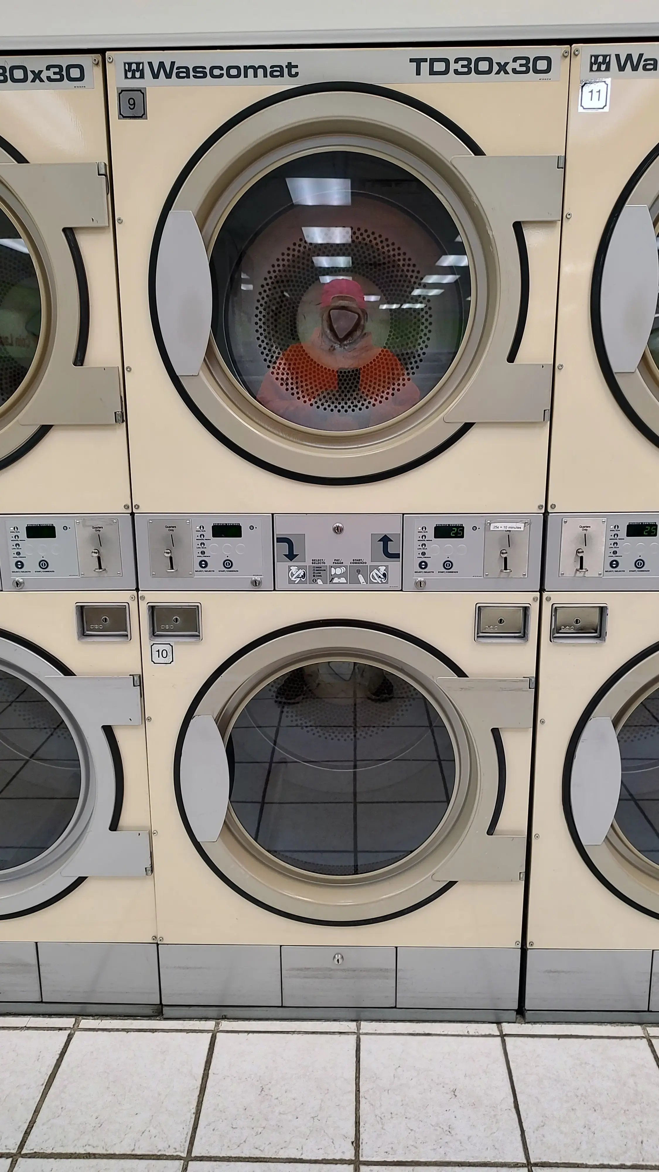 Express Coin Laundromat thumbnail 6