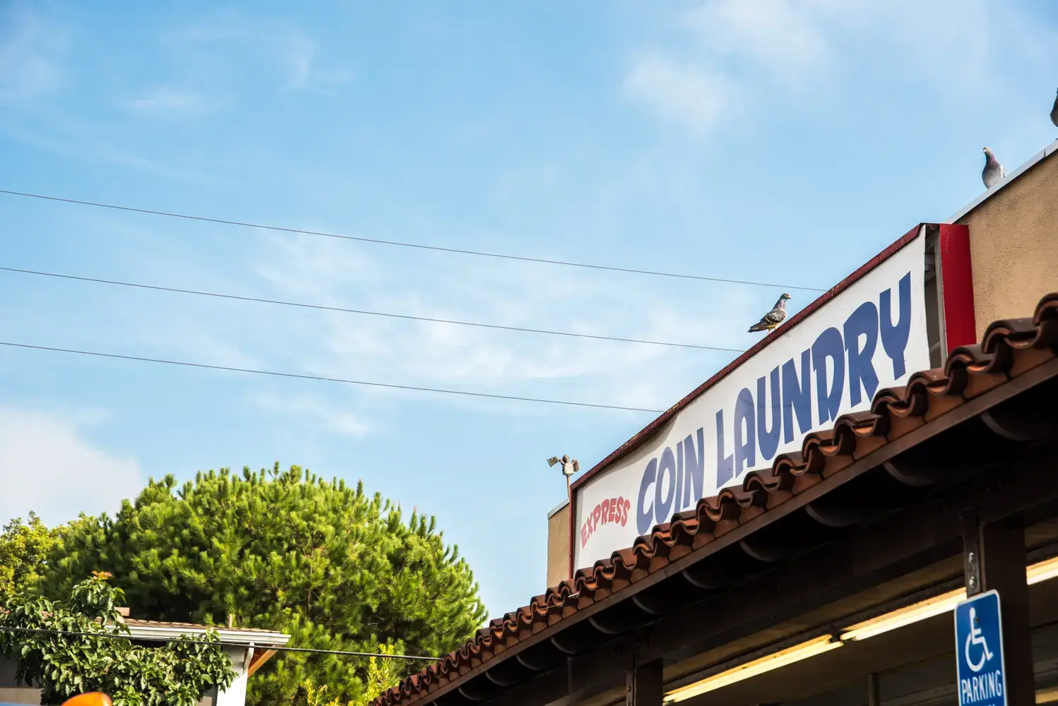 Express Coin Laundry thumbnail 7
