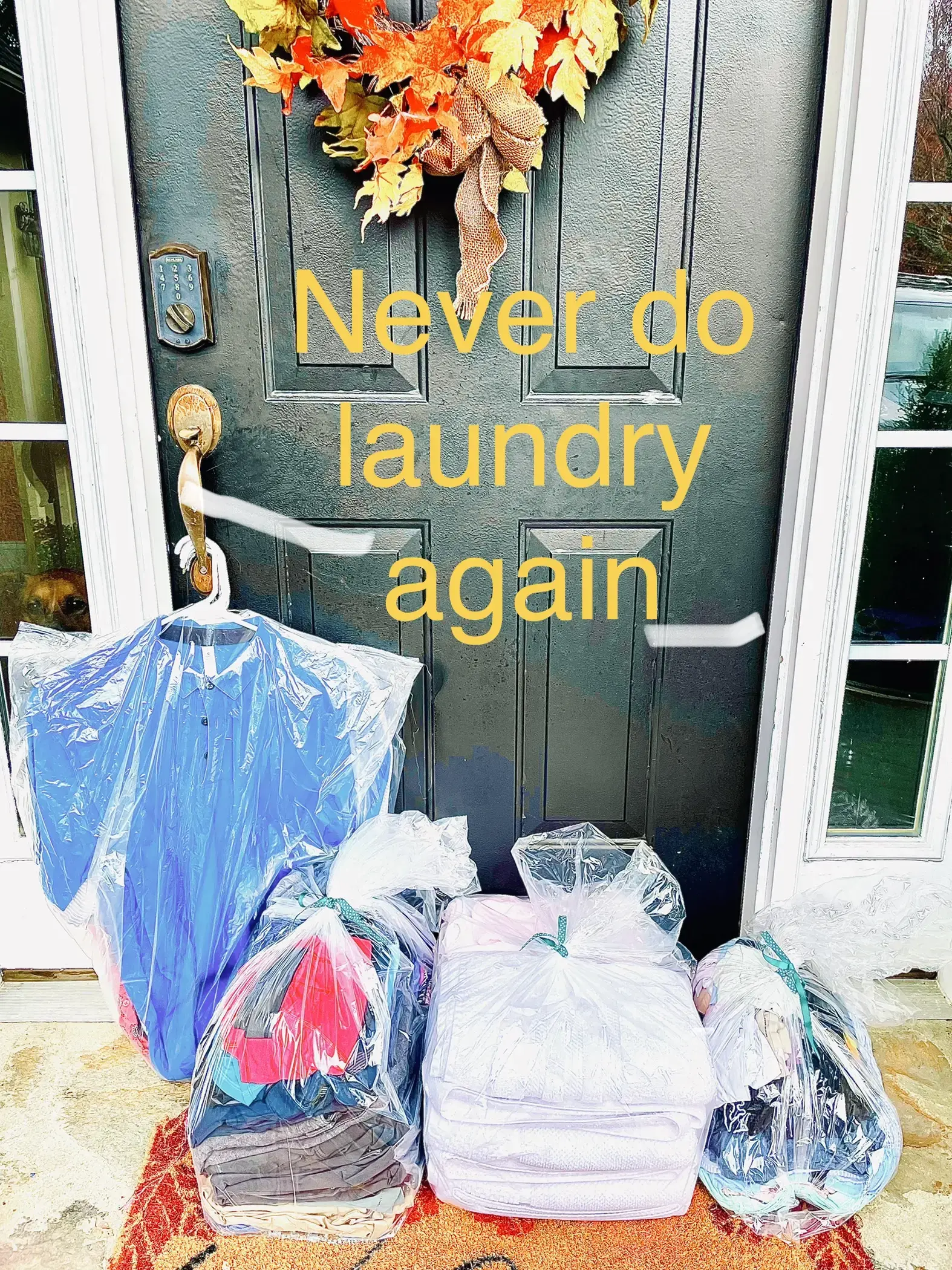 Express Laundry thumbnail 13