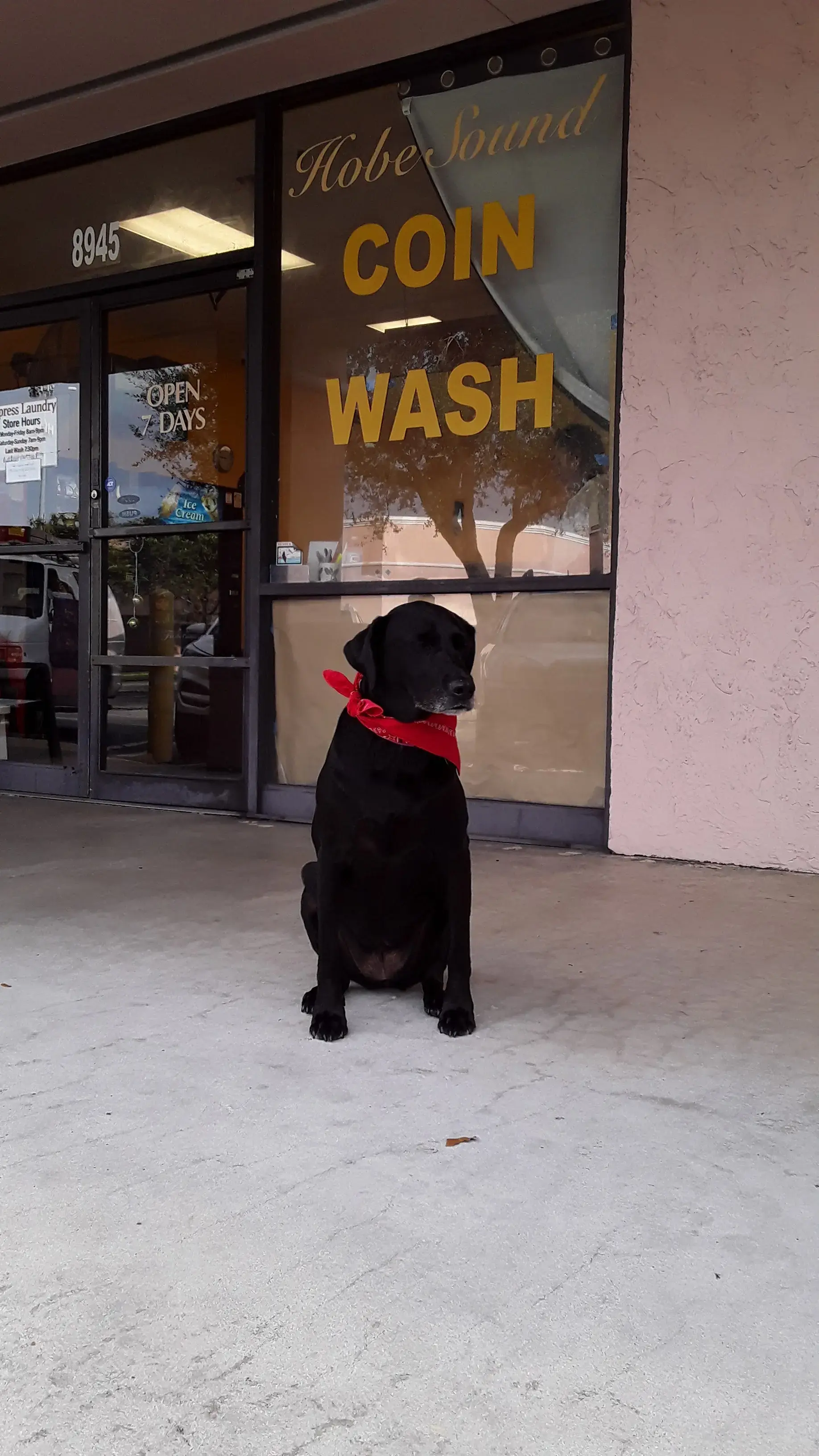 Express Laundry - Image 6