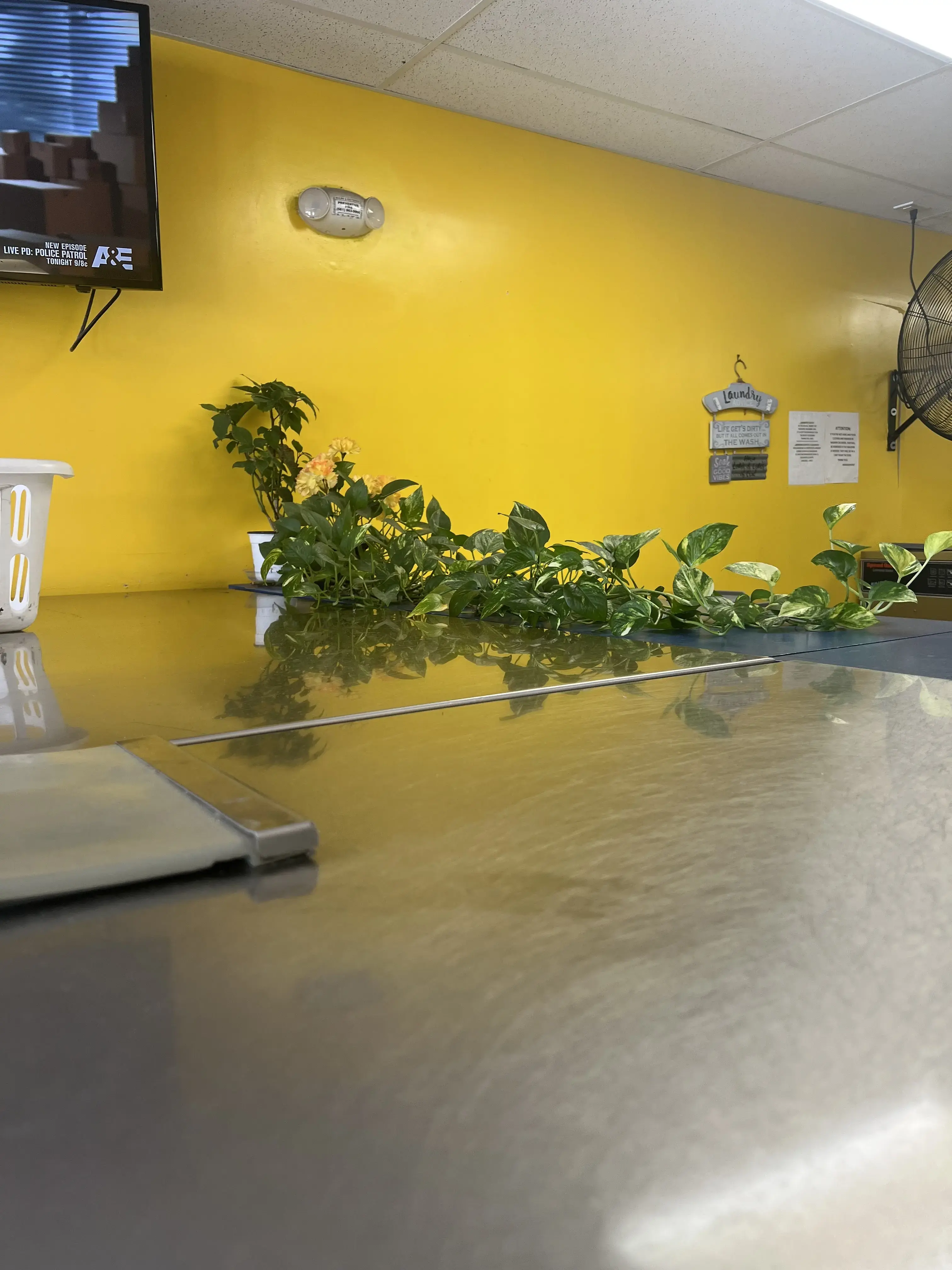 Express Laundry thumbnail 6