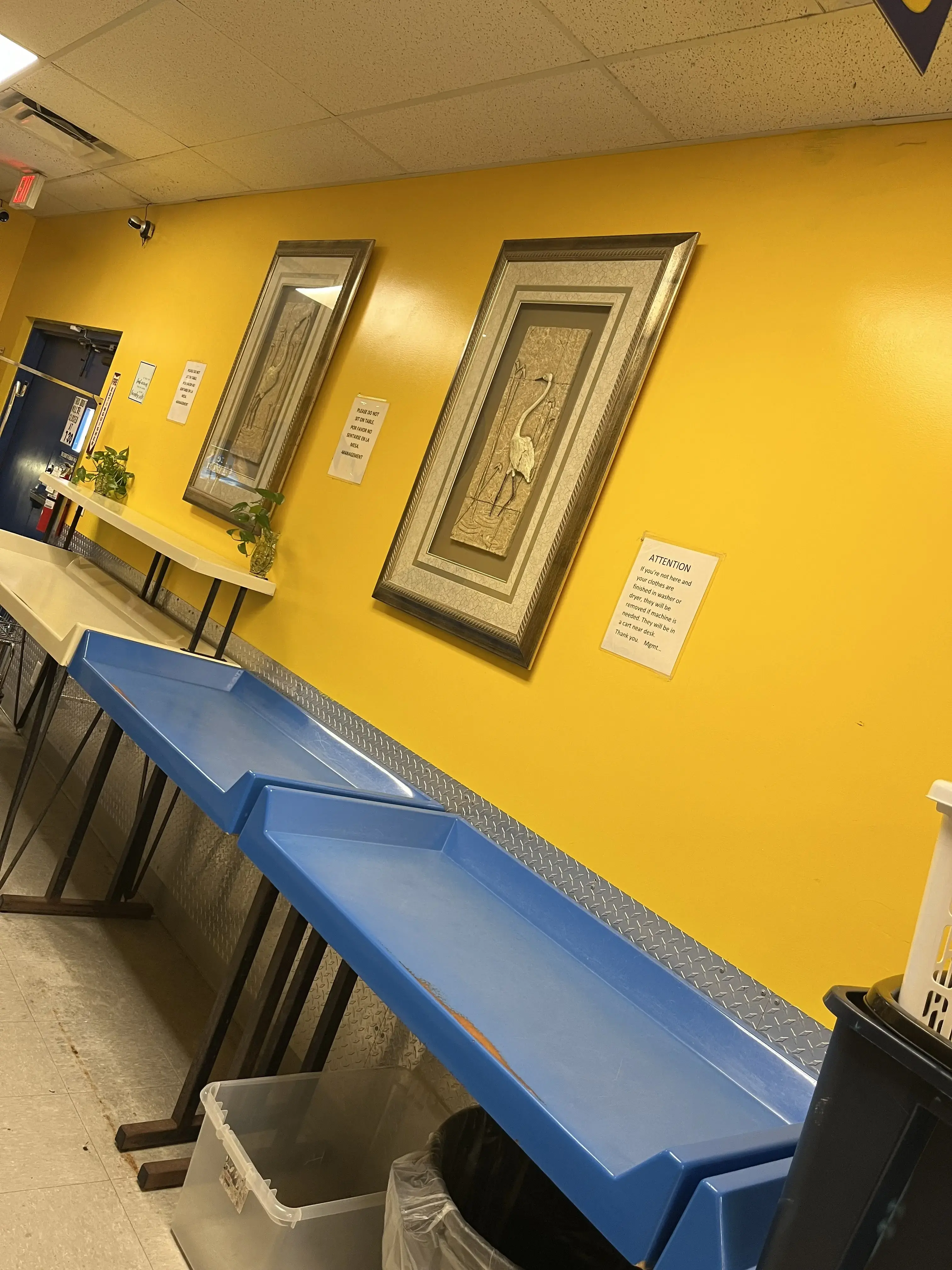 Express Laundry - Image 5