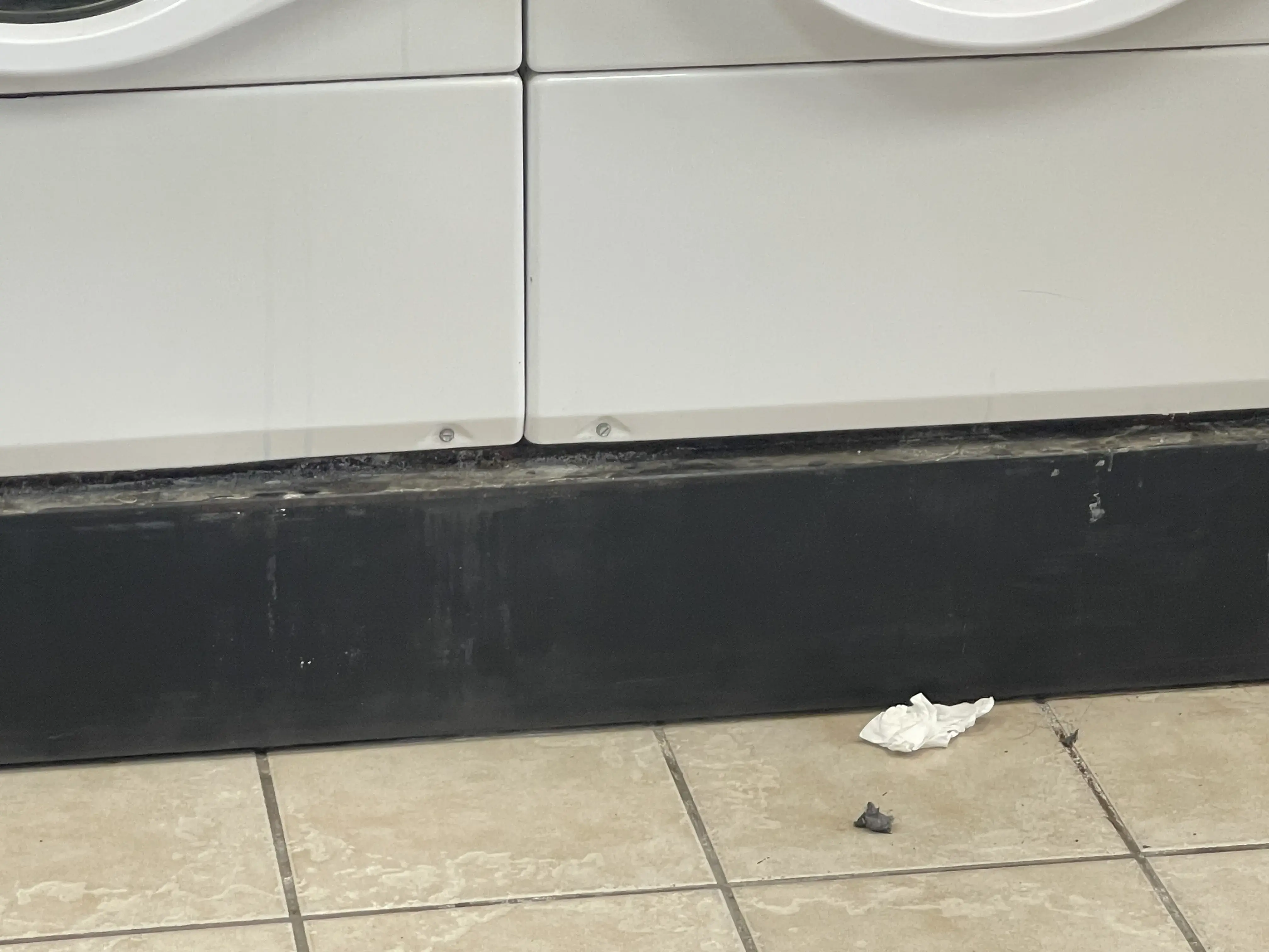 Extra Sock Laundromat - Image 3
