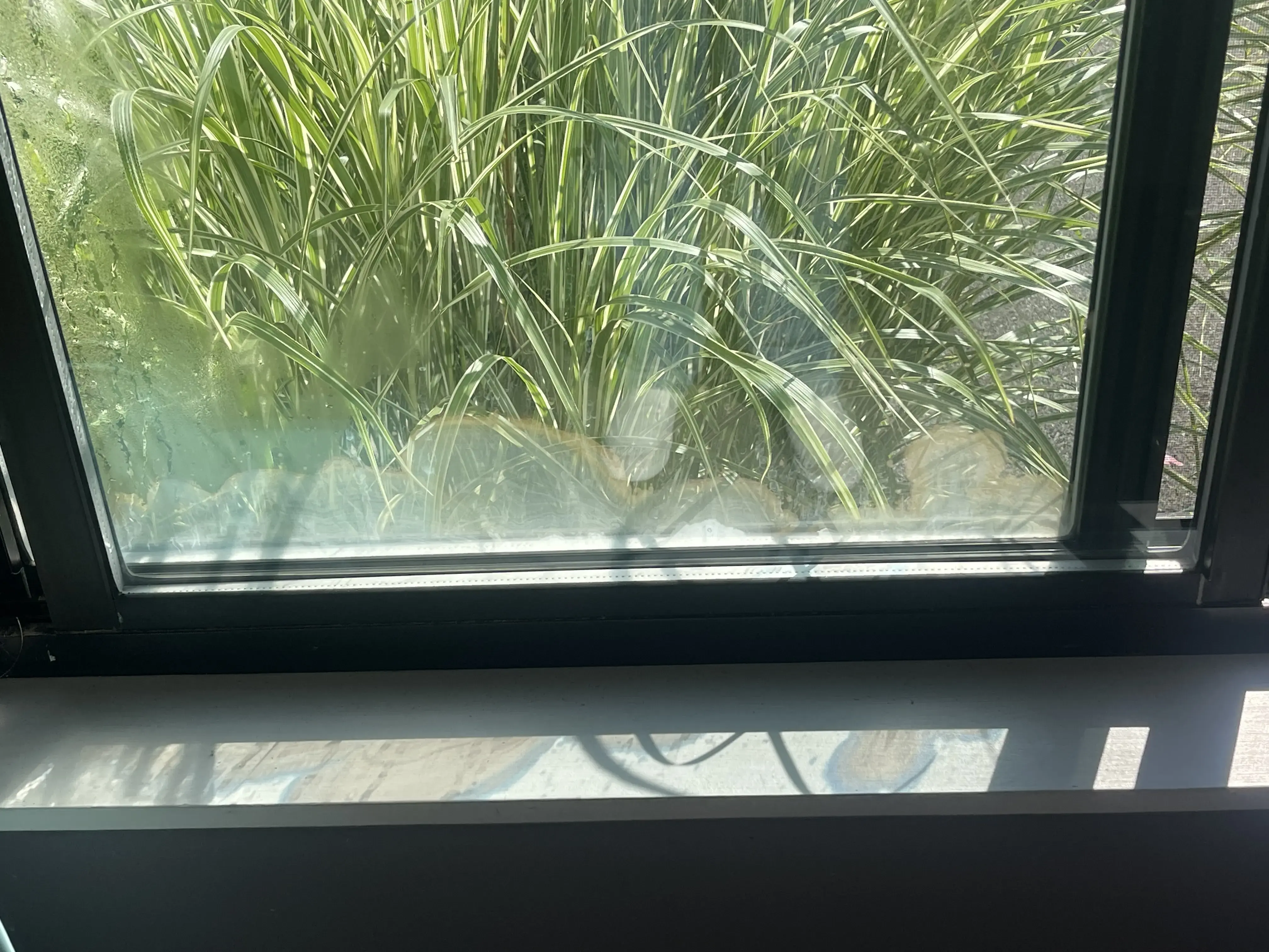 EZ Wash Laundry - Image 10