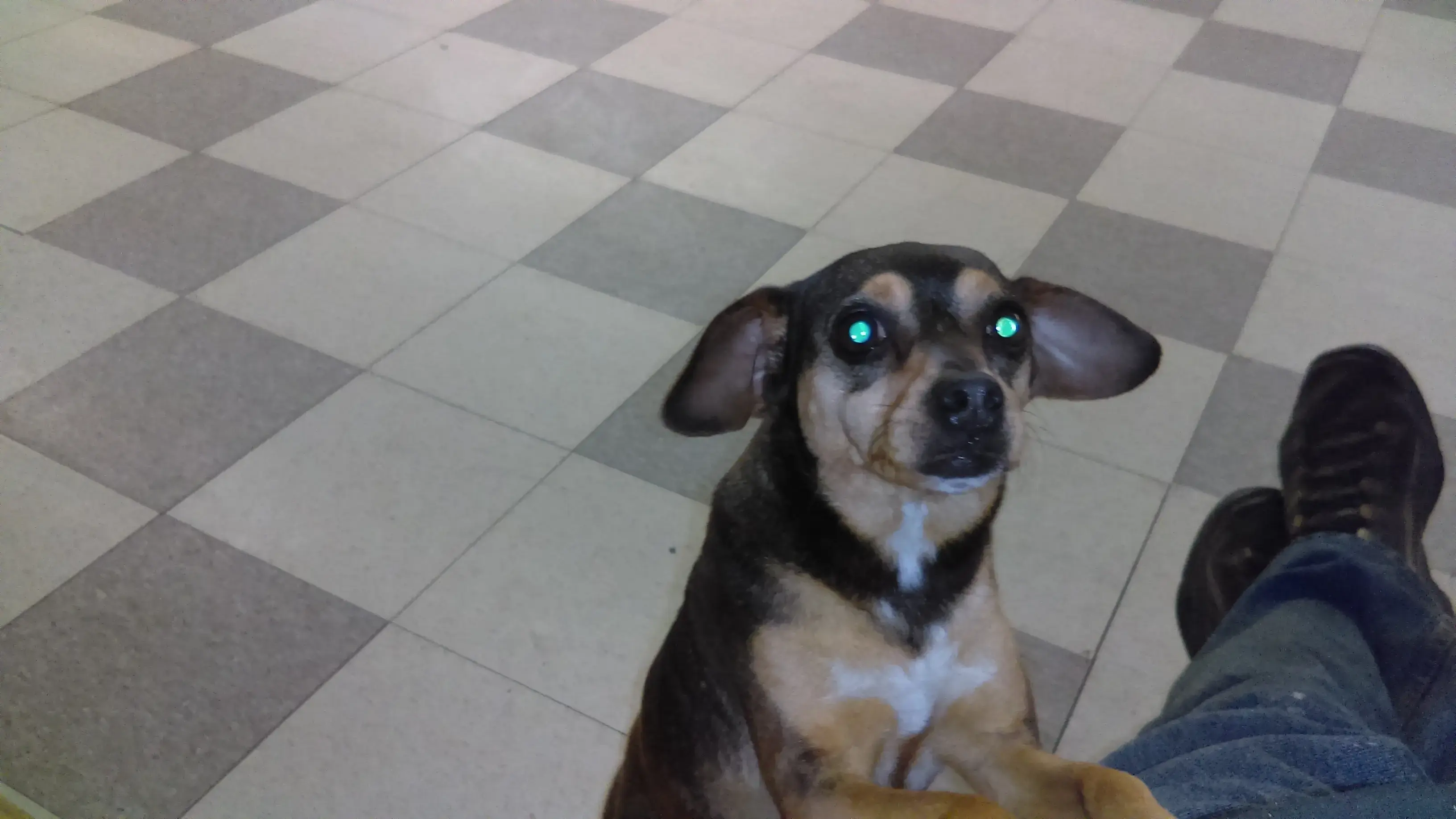 Fabric Care Center - Image 3