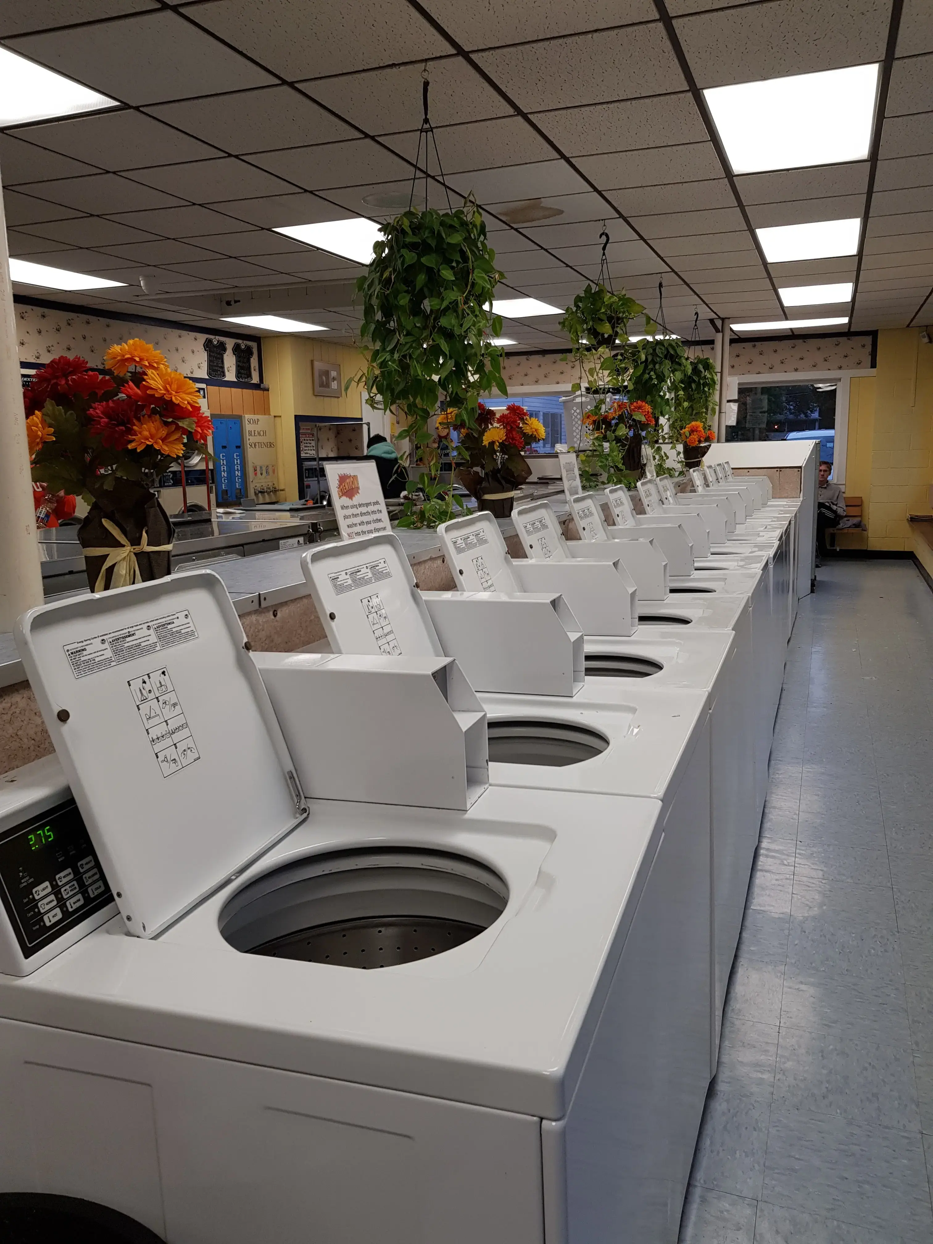 Fall Creek Laundromat thumbnail 14