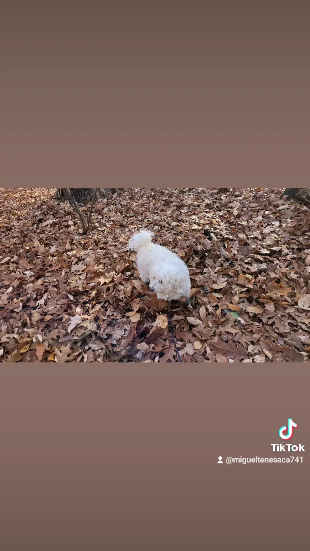 Family Launderette - Image 12