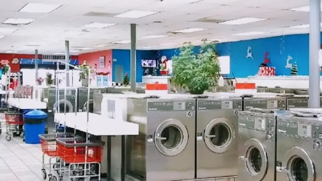 Family Launderette - Image 2