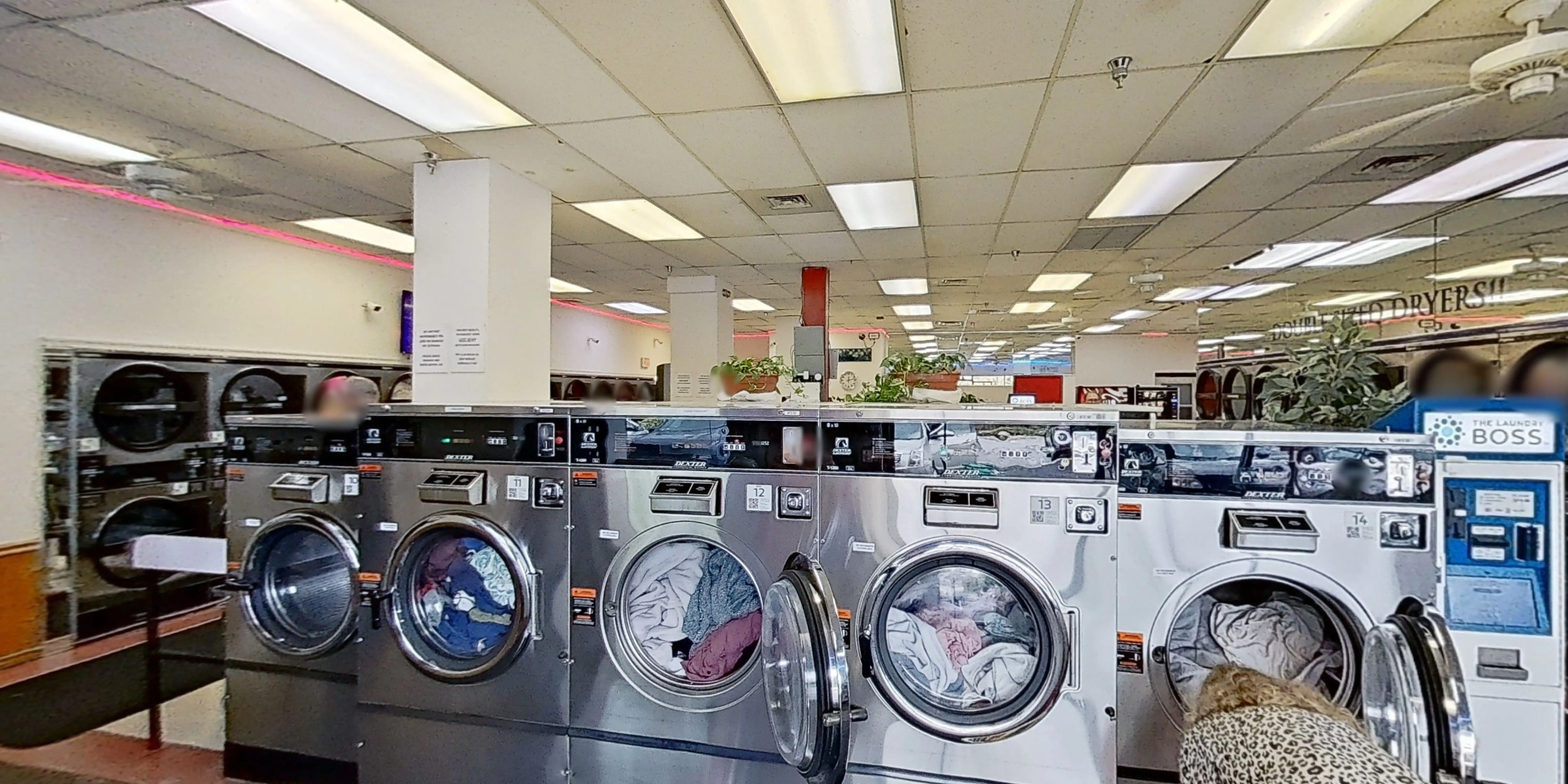 Family Laundromat thumbnail 8