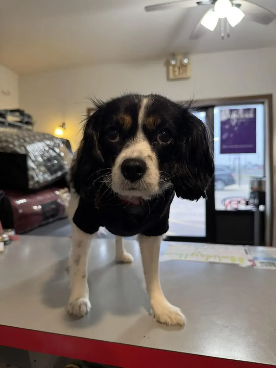 Family Pride Cleaners thumbnail 16