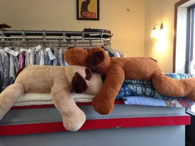 Family Pride Cleaners - Image 8