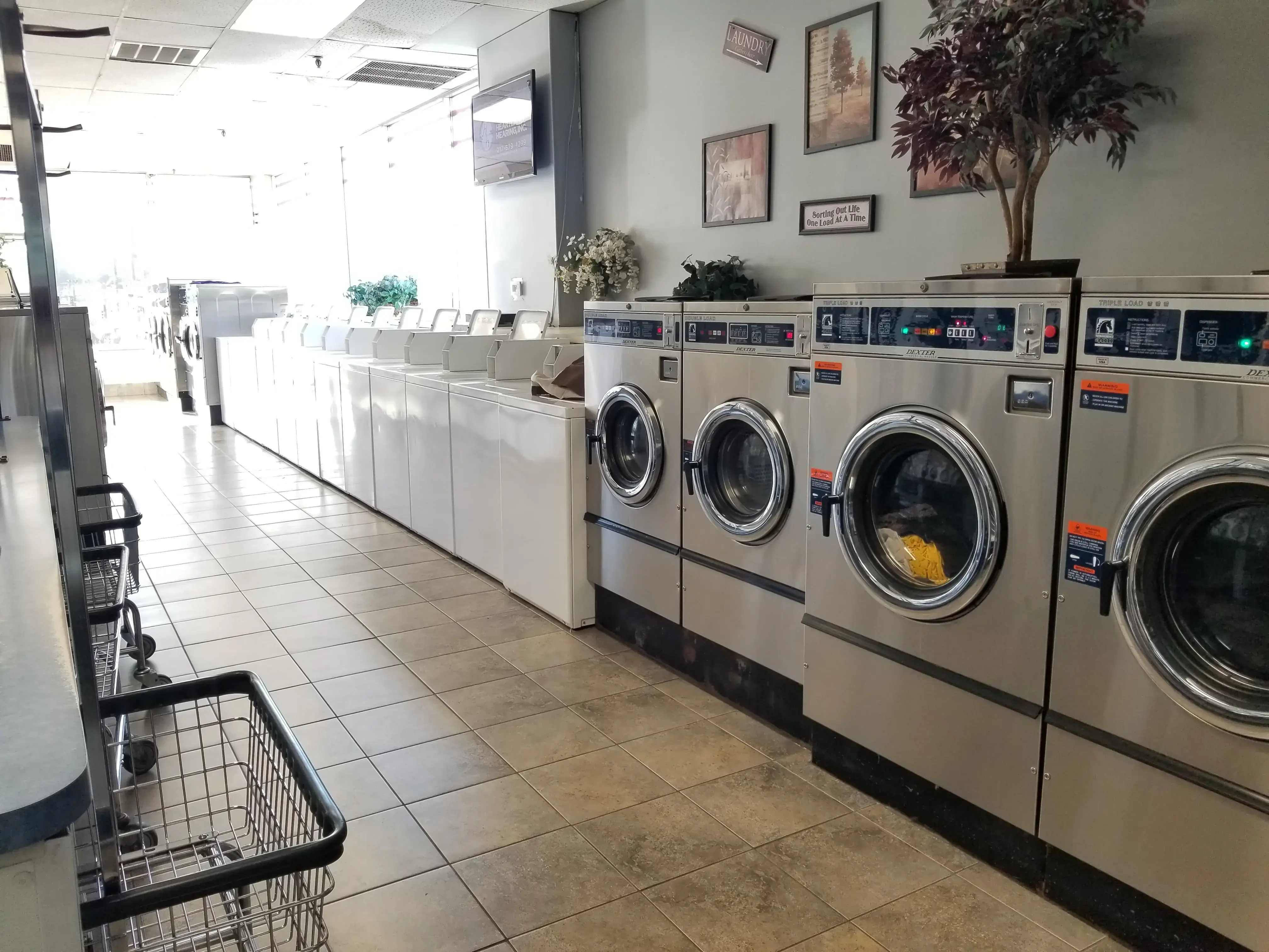 Family Pride Laundry thumbnail 20