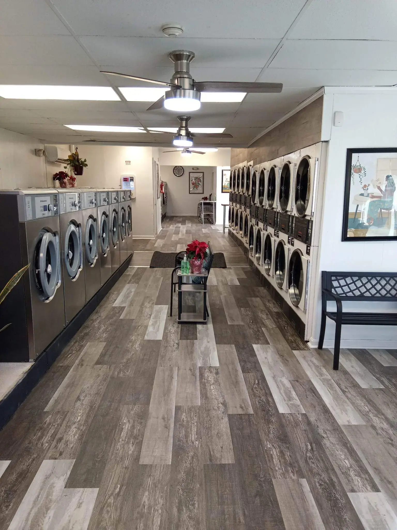Fast-N-Fresh Laundry (Millsboro Coin Laundromat) - Image 2