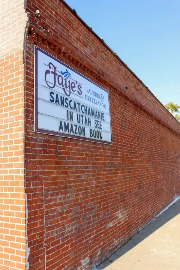 Faye's Laundry & Dry Cleaning location