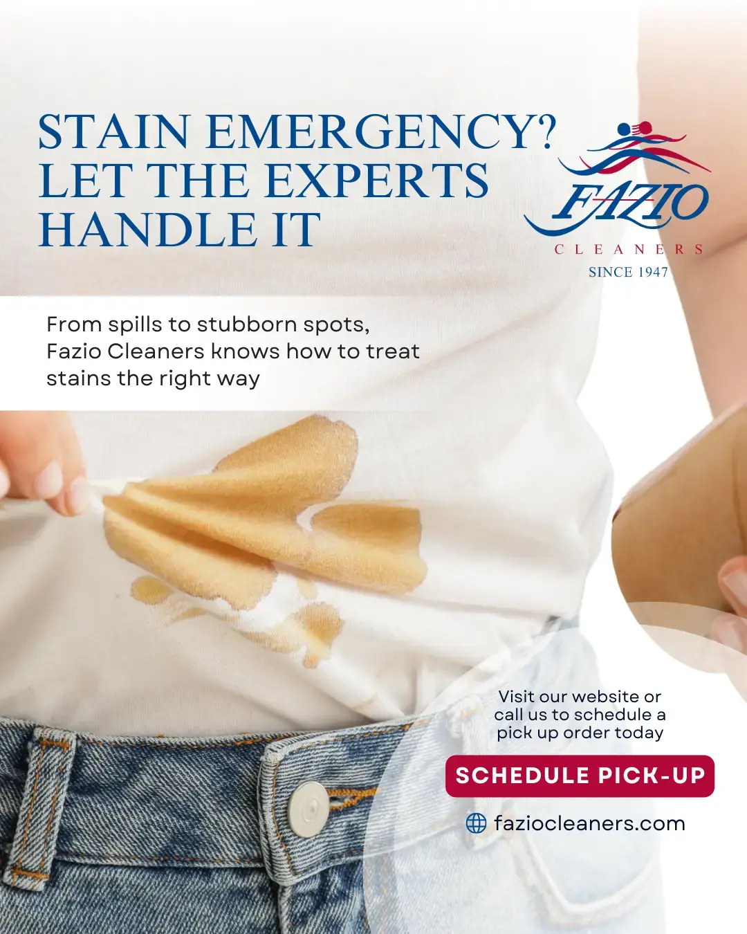 Fazio Cleaners thumbnail 9