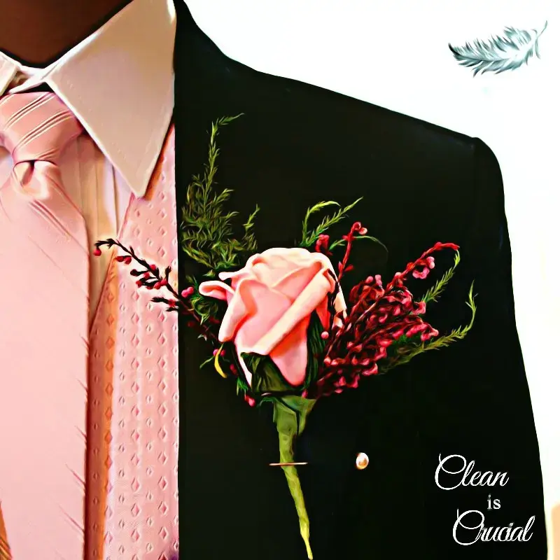 Feather Laundry - Image 4