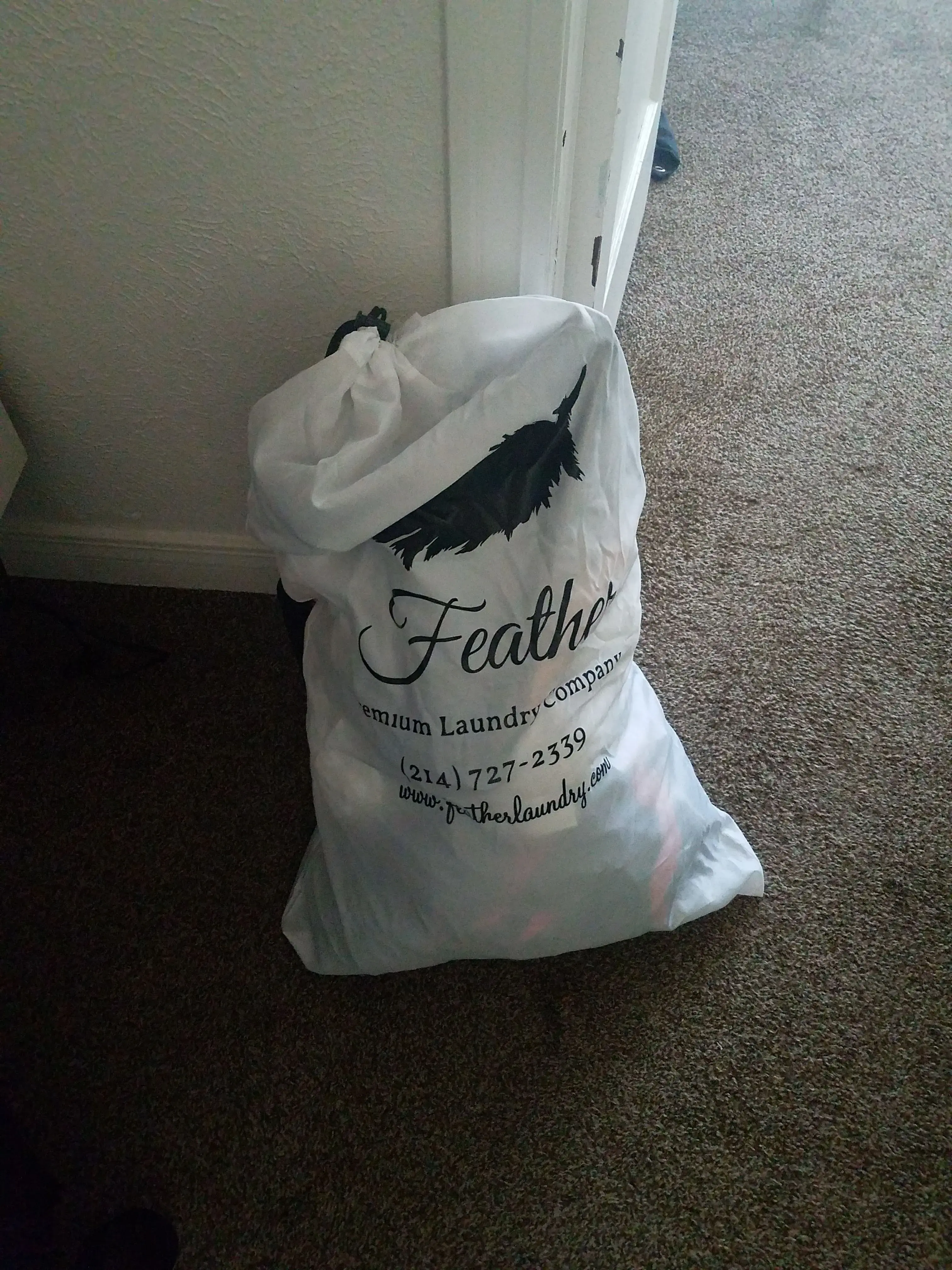 Feather Laundry - Image 3