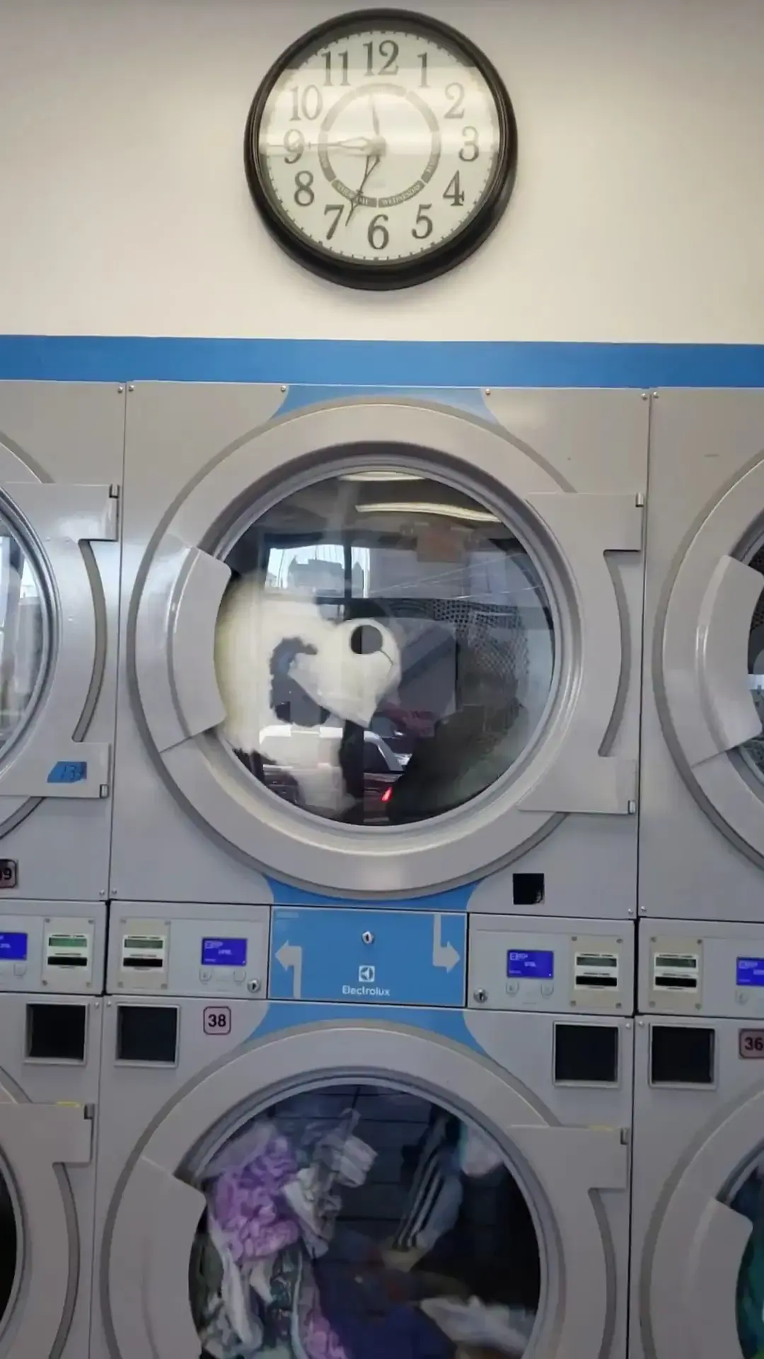 Federal Laundromat thumbnail 17
