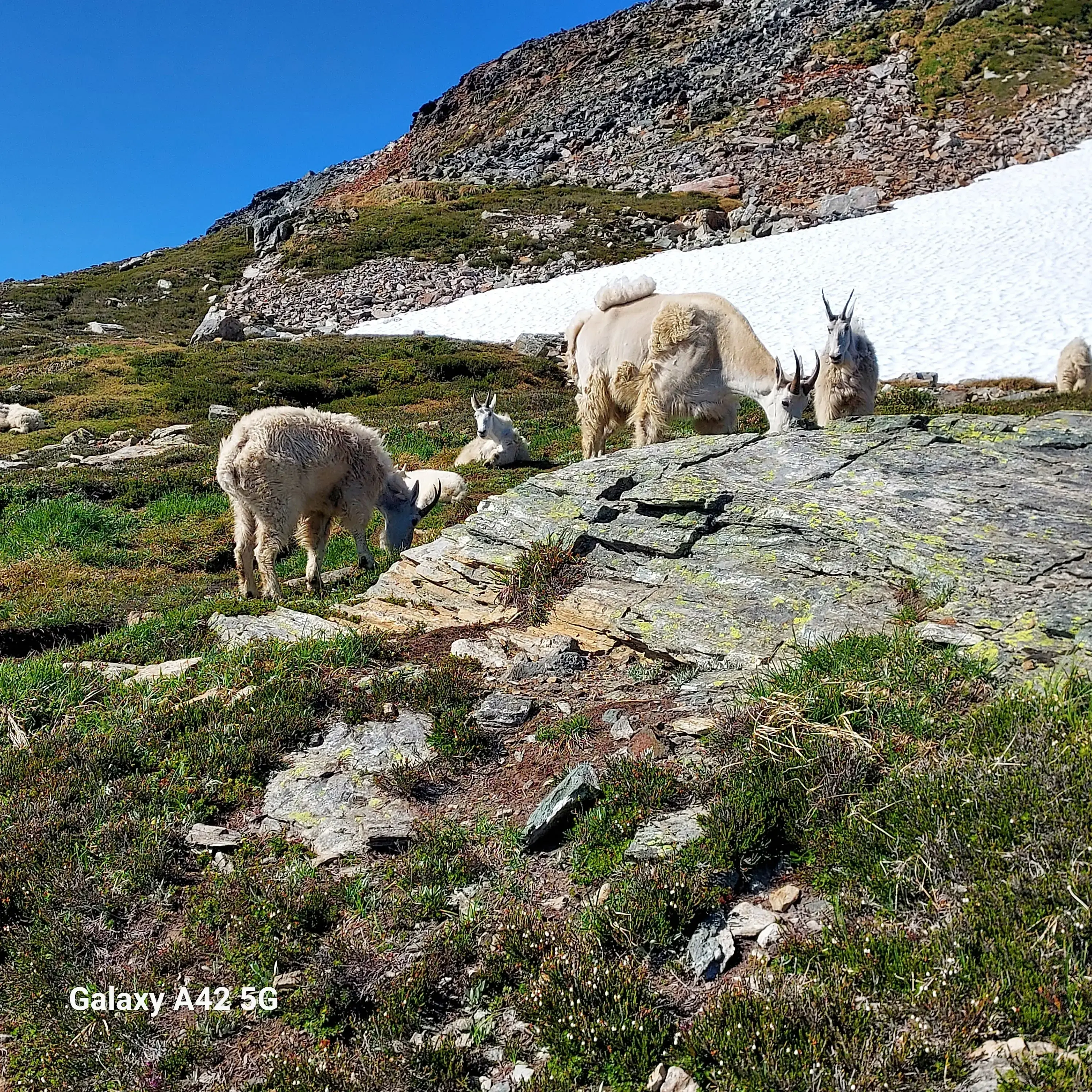 Ferndale Laundry thumbnail 18