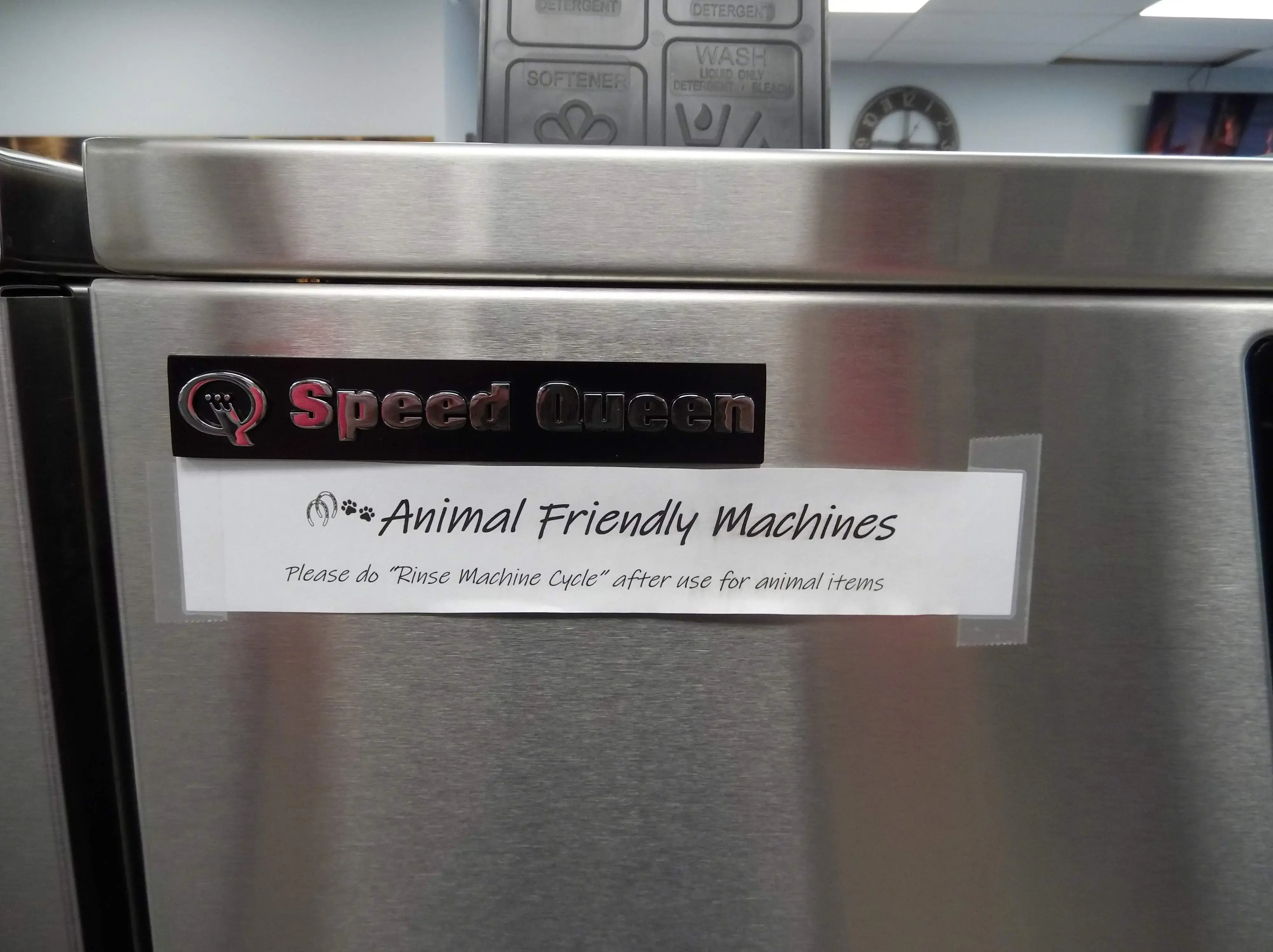 Ferndale Laundry thumbnail 17