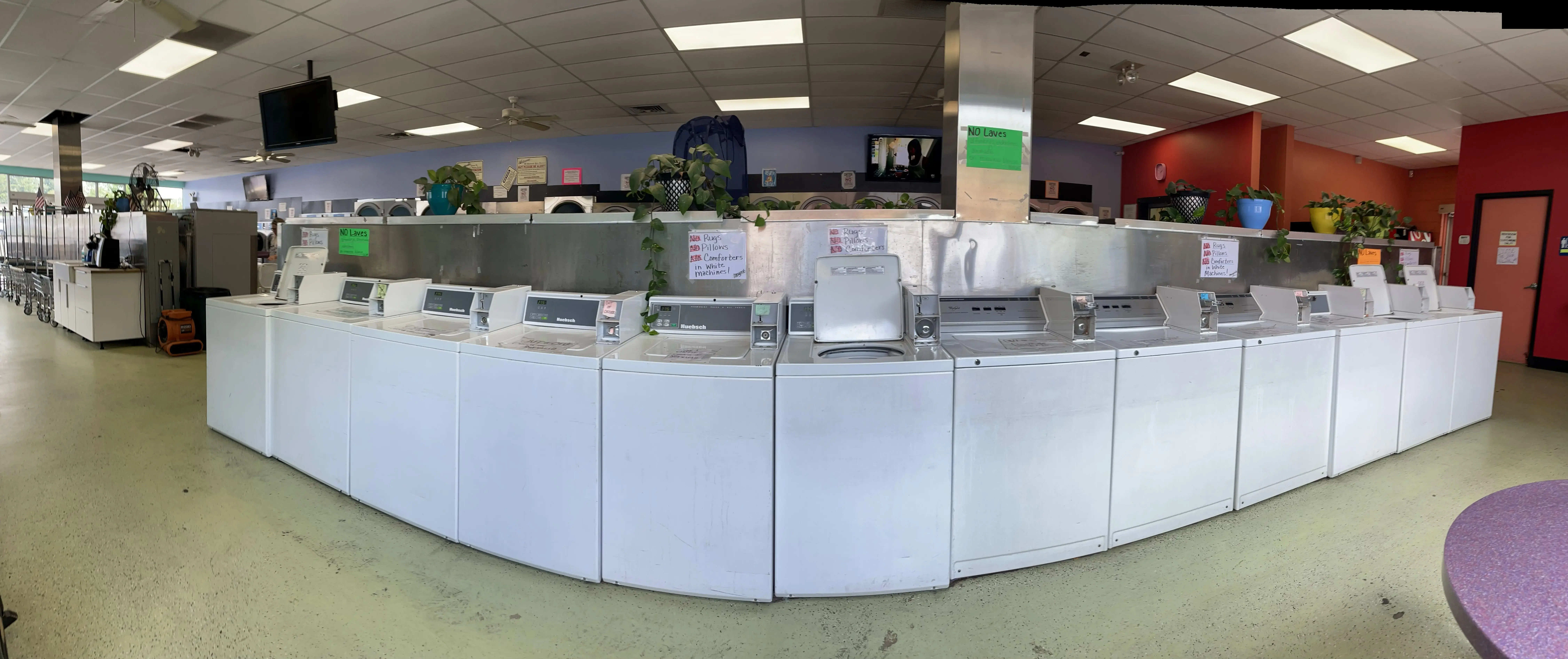 Fiesta Laundries - Image 7