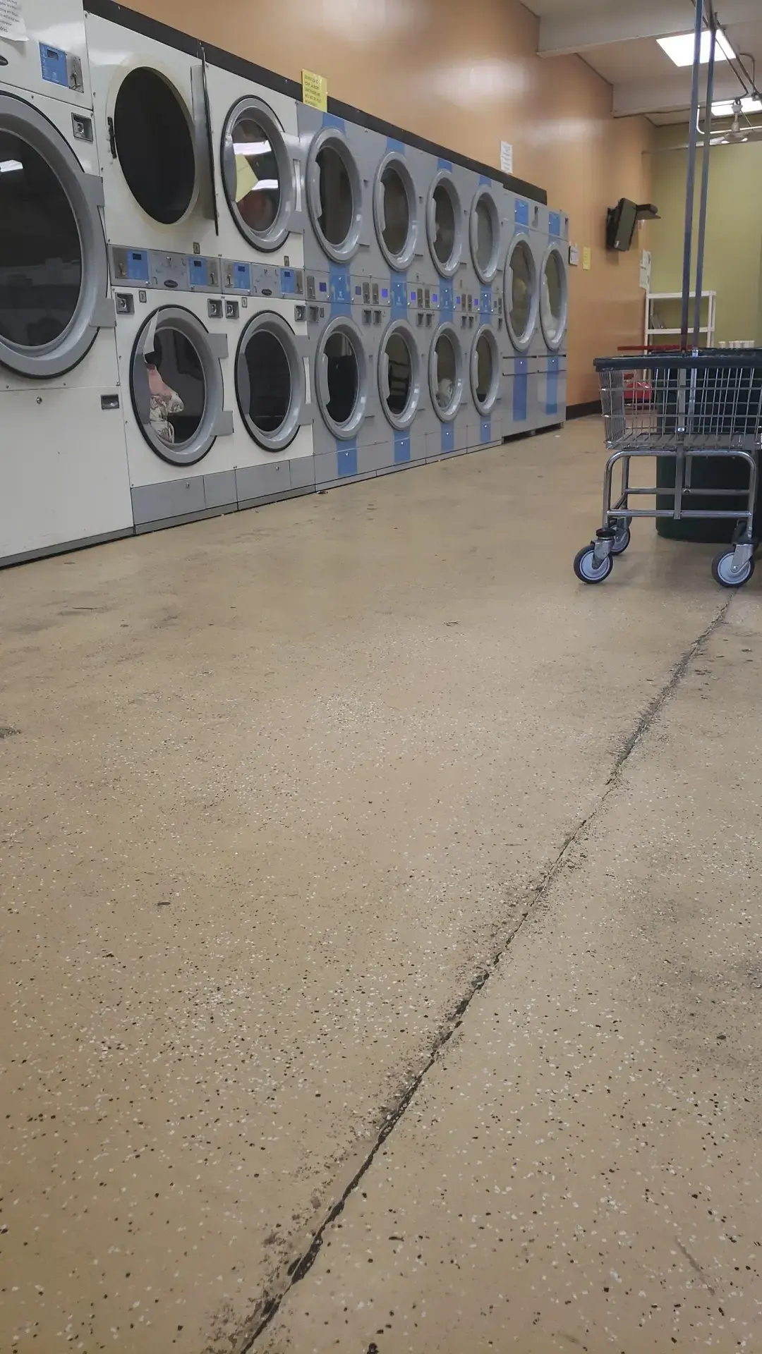 Fiesta Laundries thumbnail 10