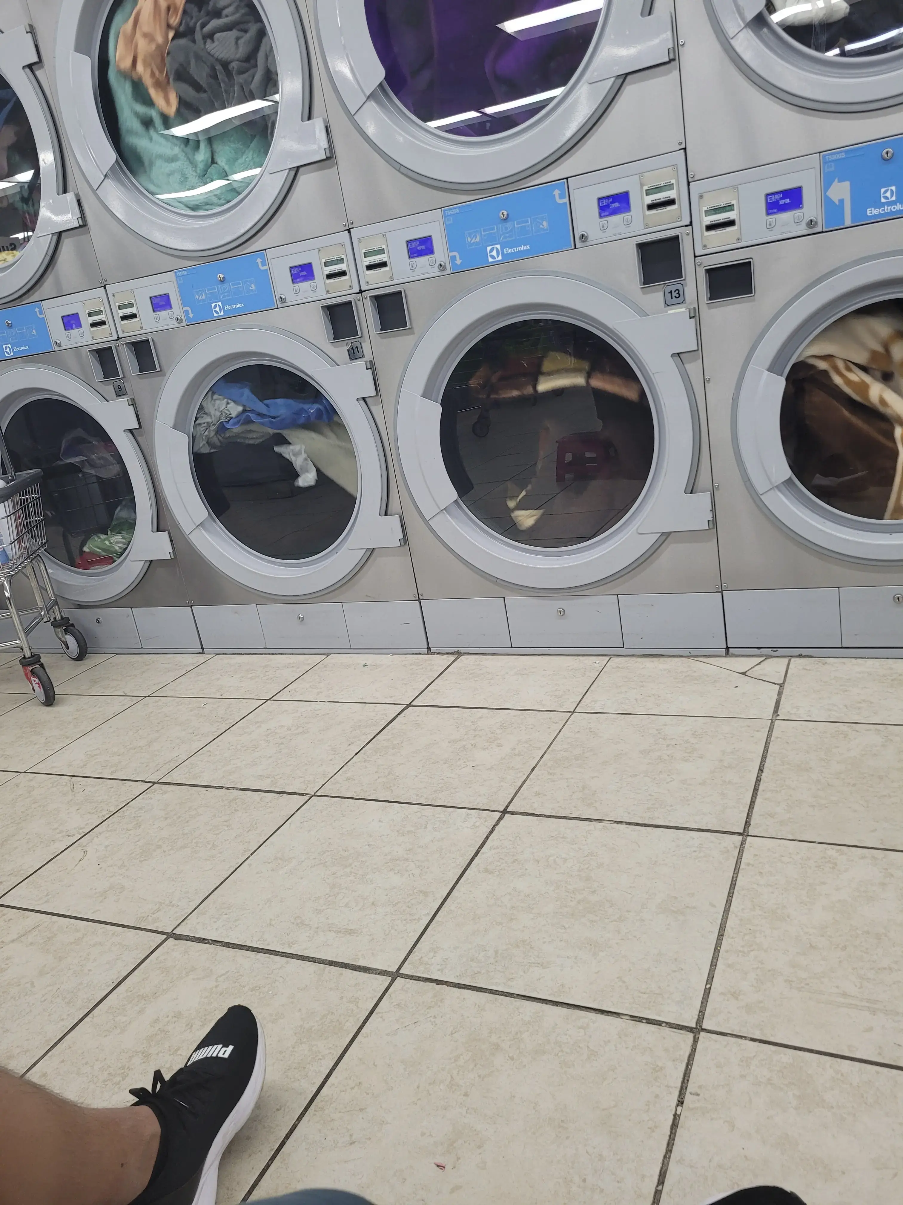 Fiesta Laundromat in Takoma Park - Image 13